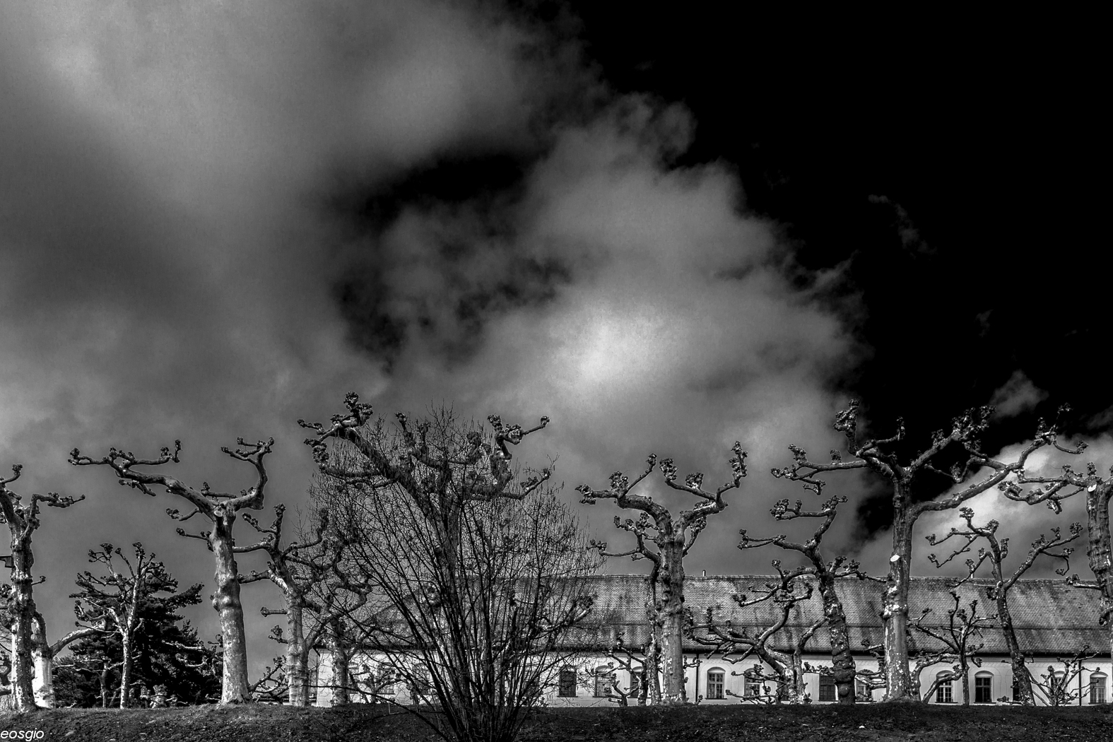 Parco Castello di Herrenchiemsee 1  Germania