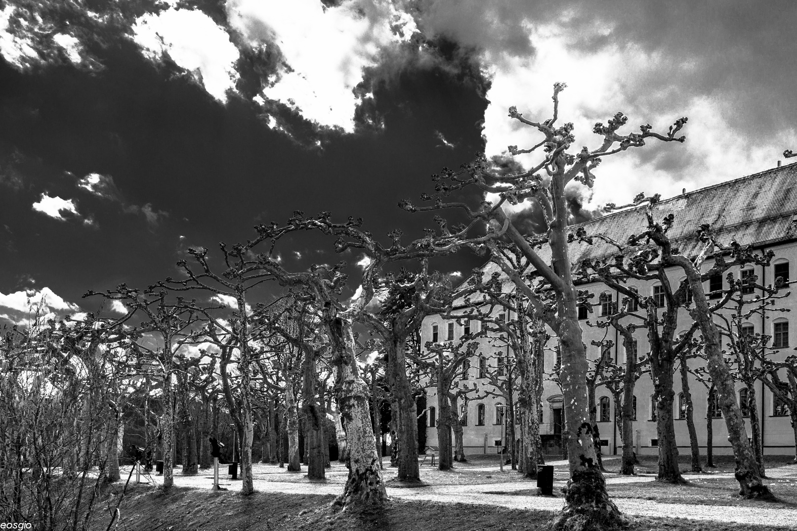 Parco Castello di Herrenchiemsee 2  Germania