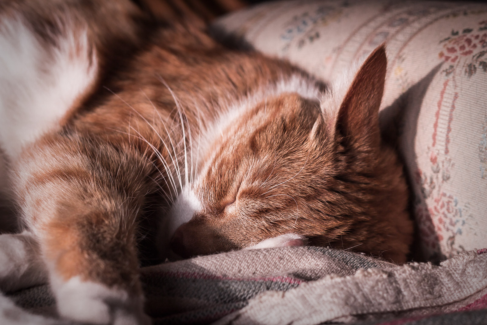 Poltrona su poltrona