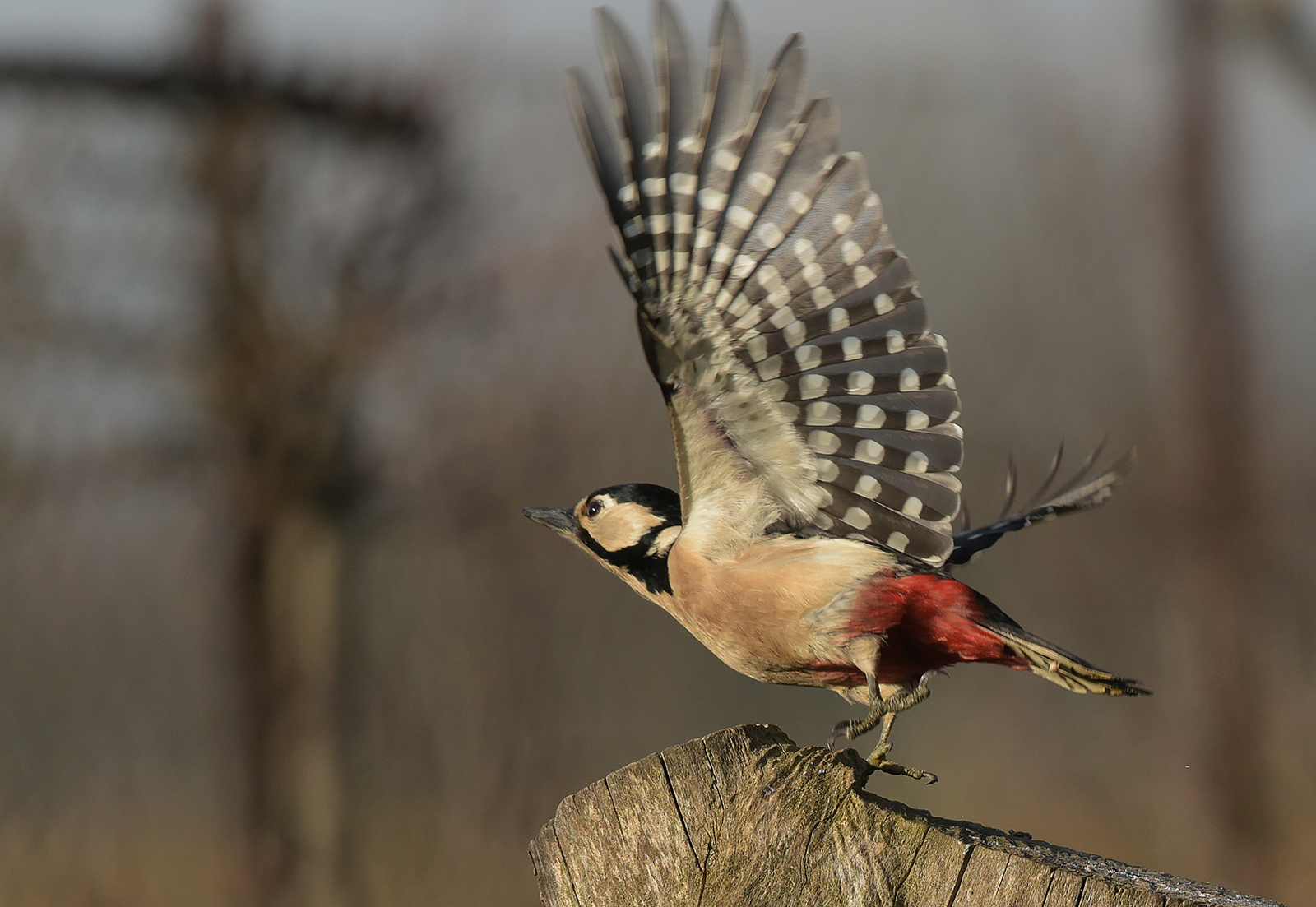 to everything against the wind