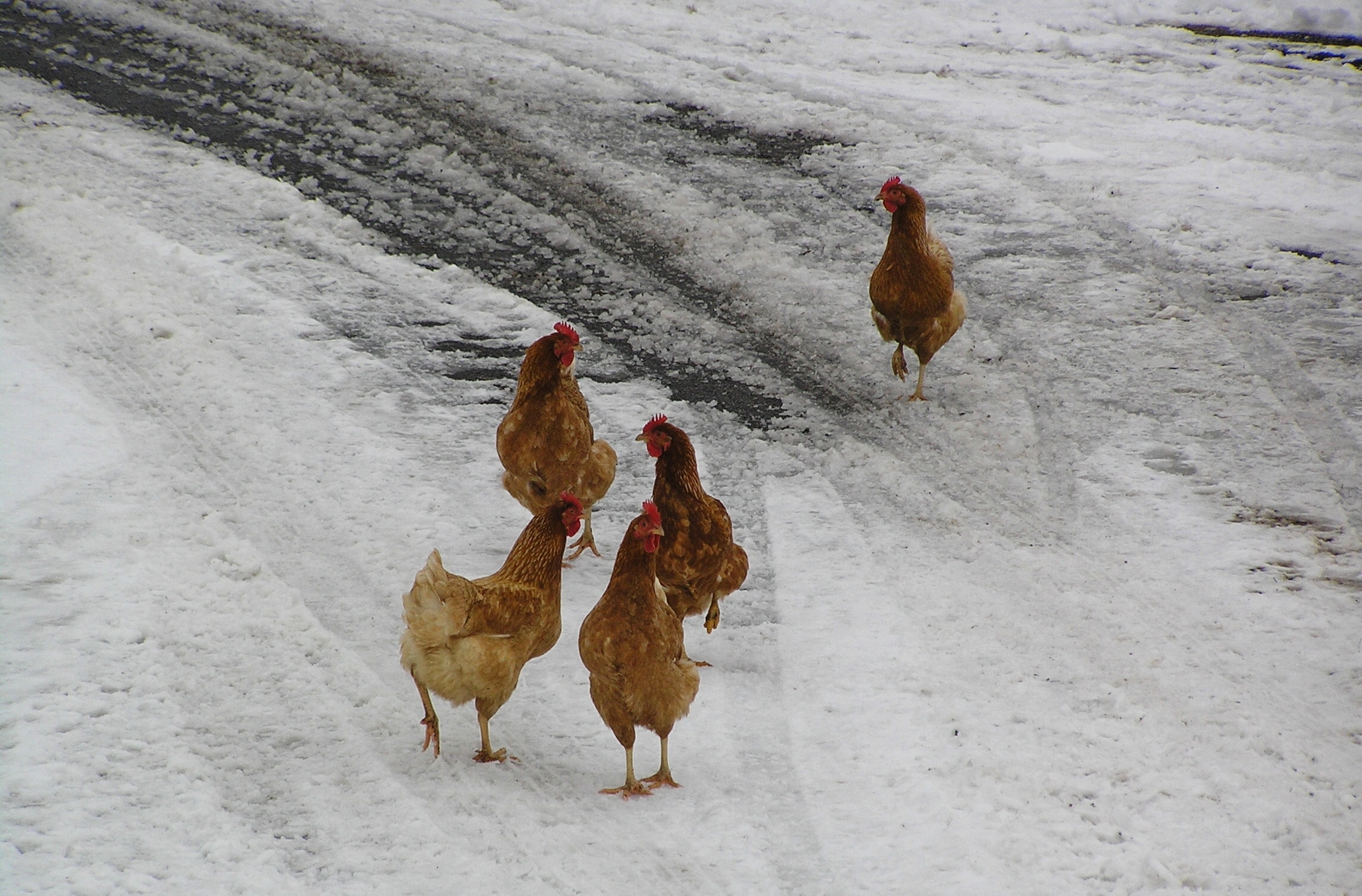 Smarrita era la via ..