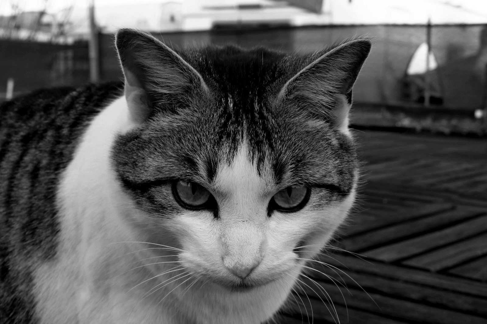 Jonie points to something