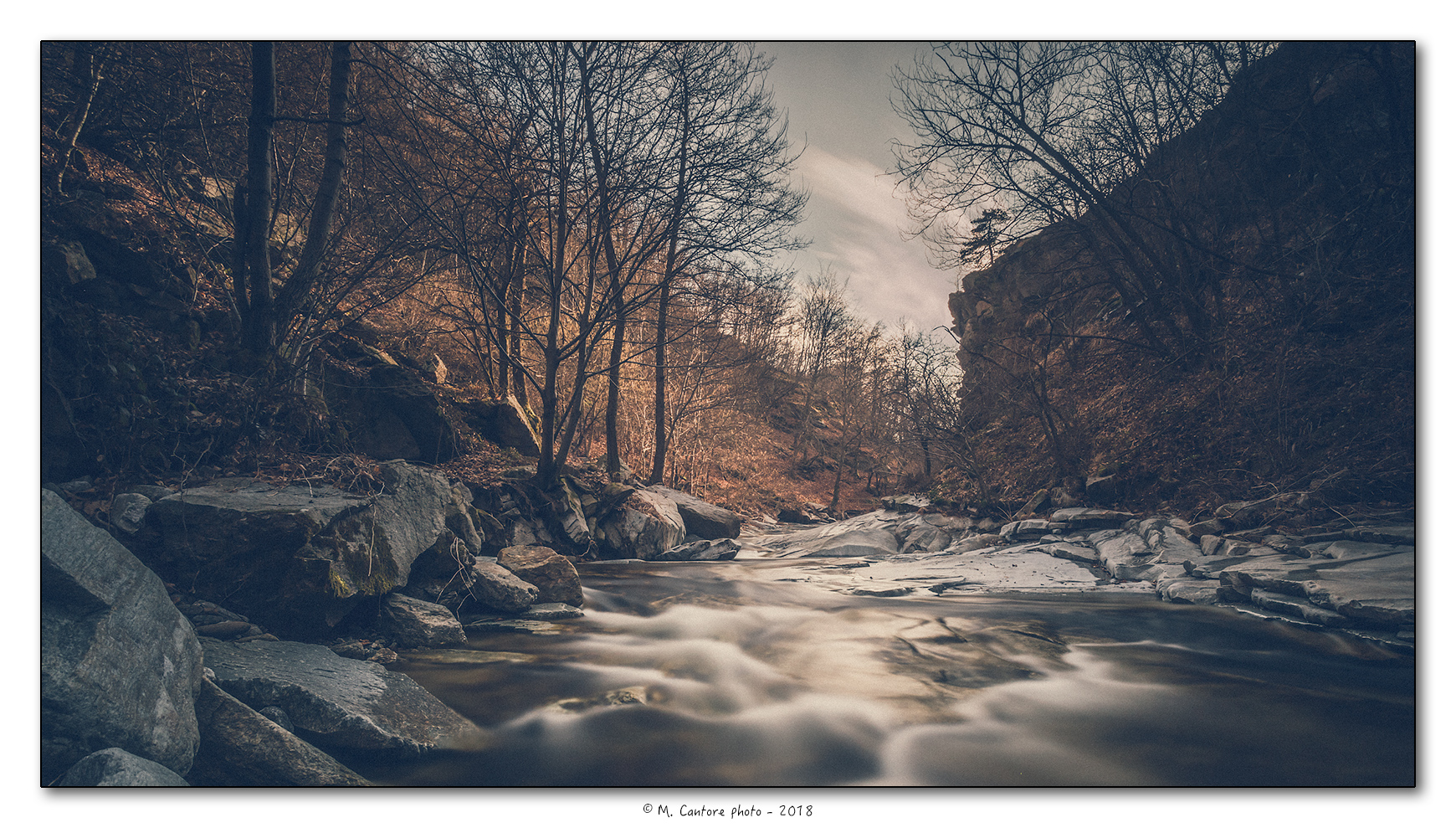 In the woods at the end of winter - March 2017