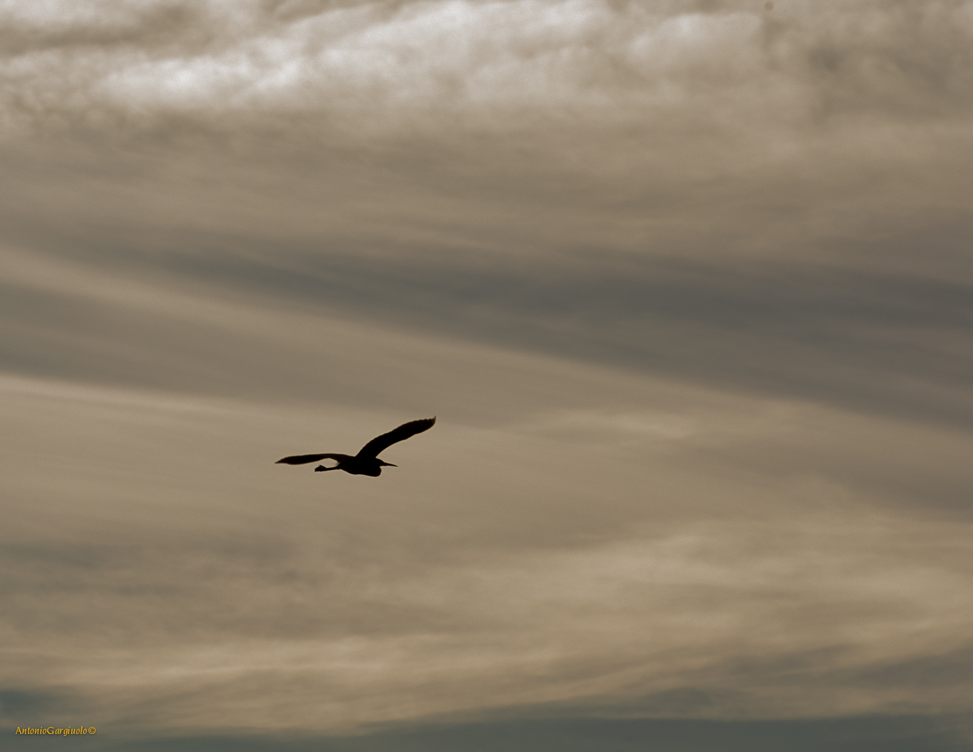Sunset on the salt flats