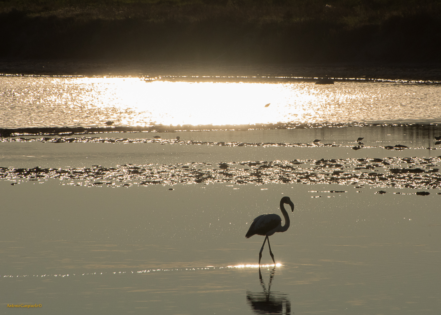 Sunset on the salt flats