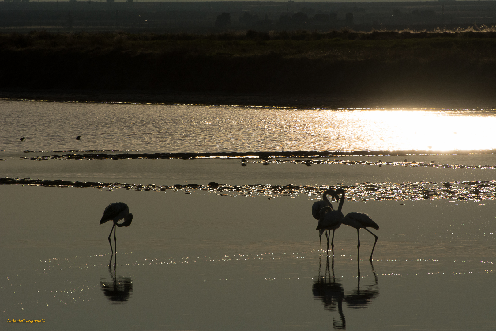 Sunset on the salt flats