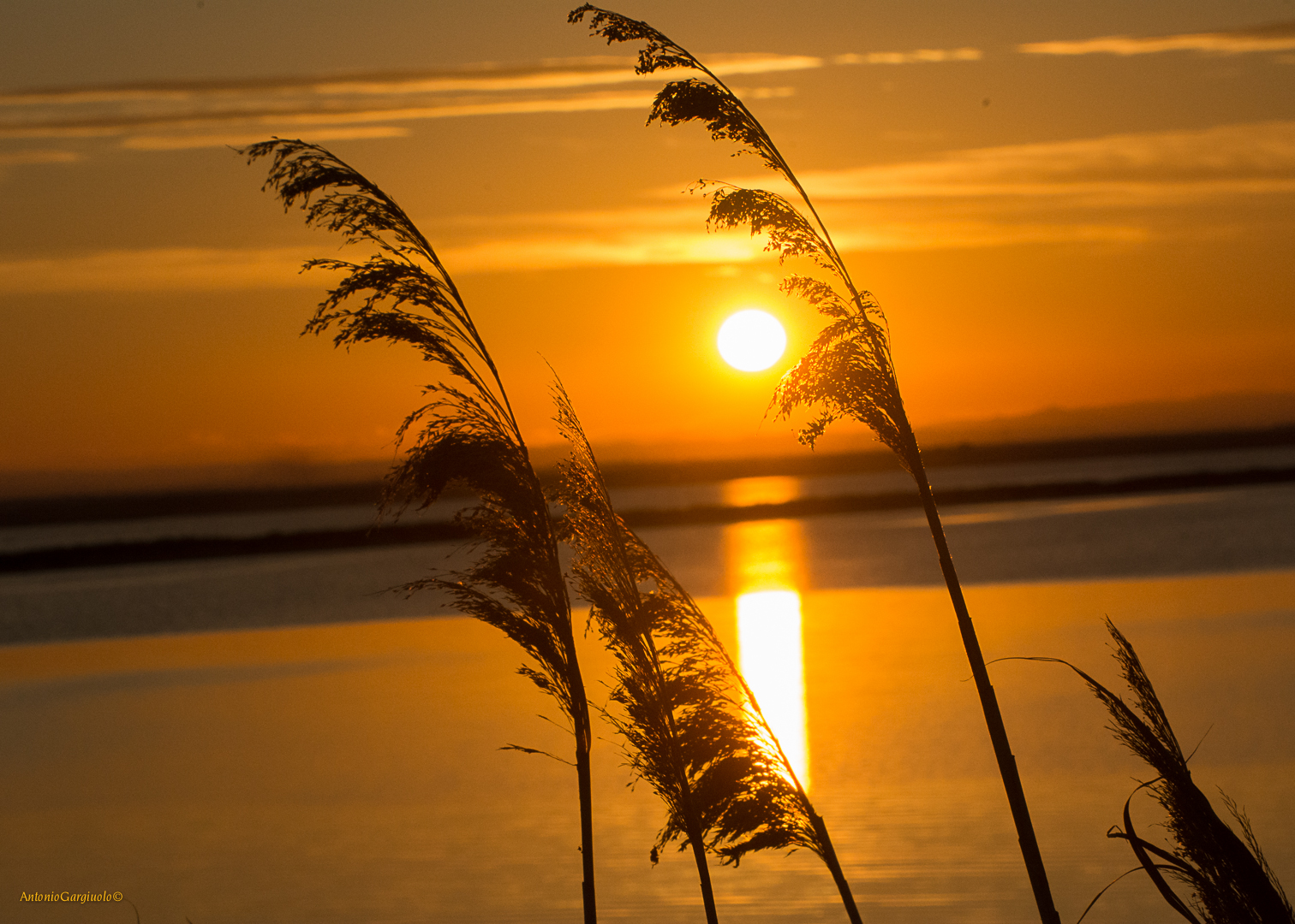 Sunset on the salt flats