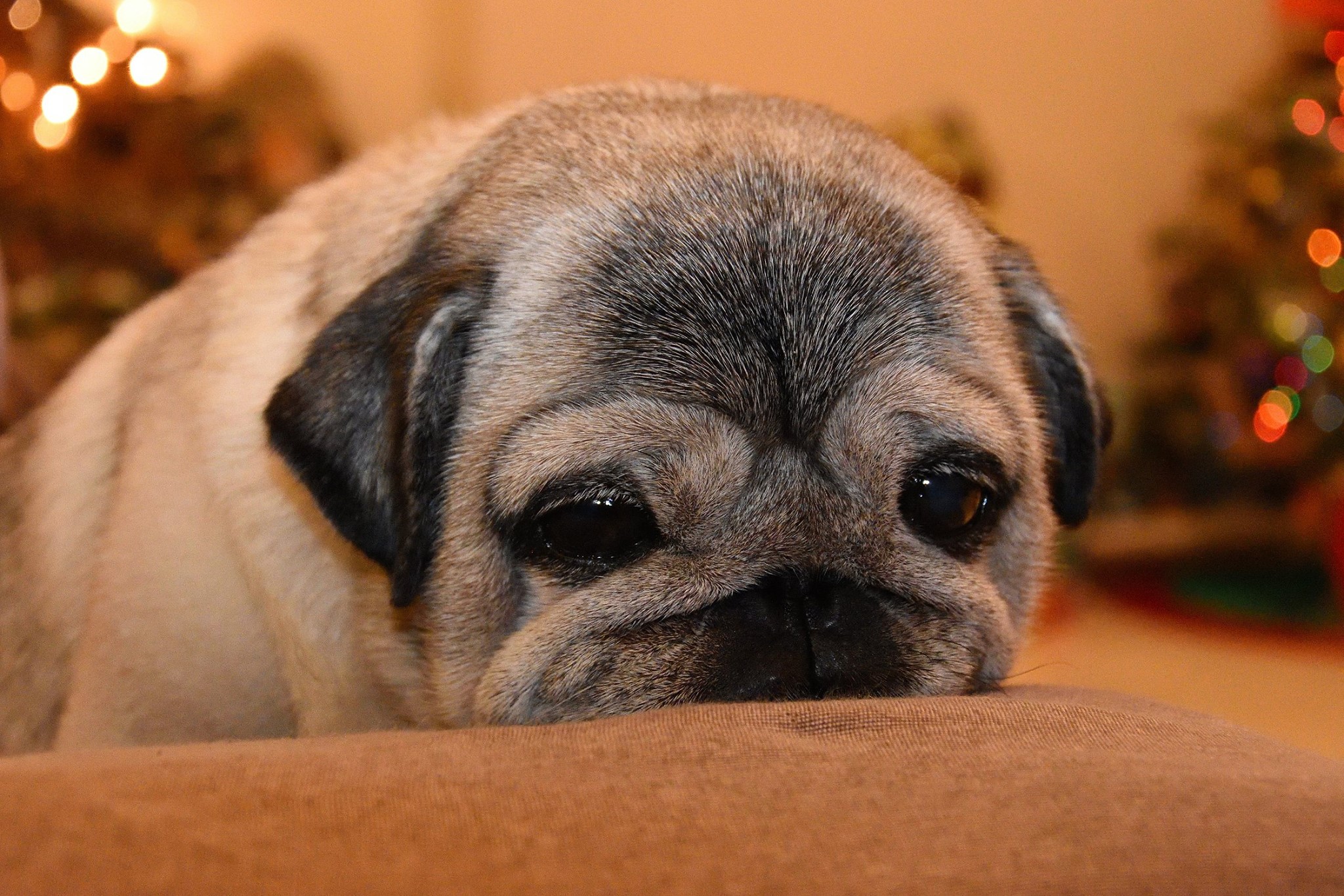 Good Night to All ....