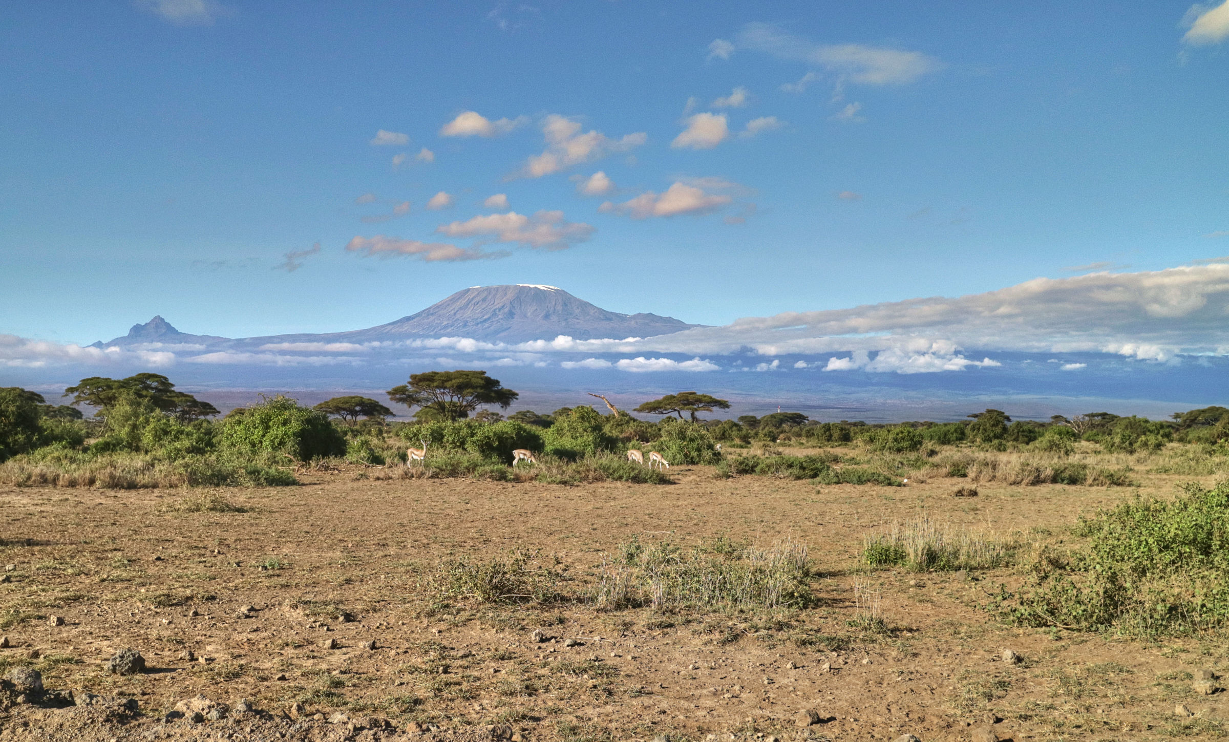 Kilimanjaro mount (Amboseli - Kenya)