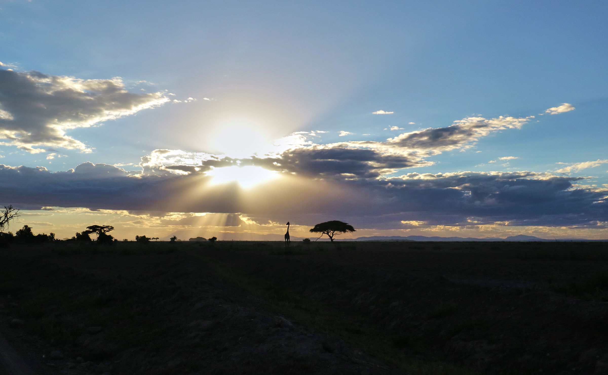 Amboseli - June 2017