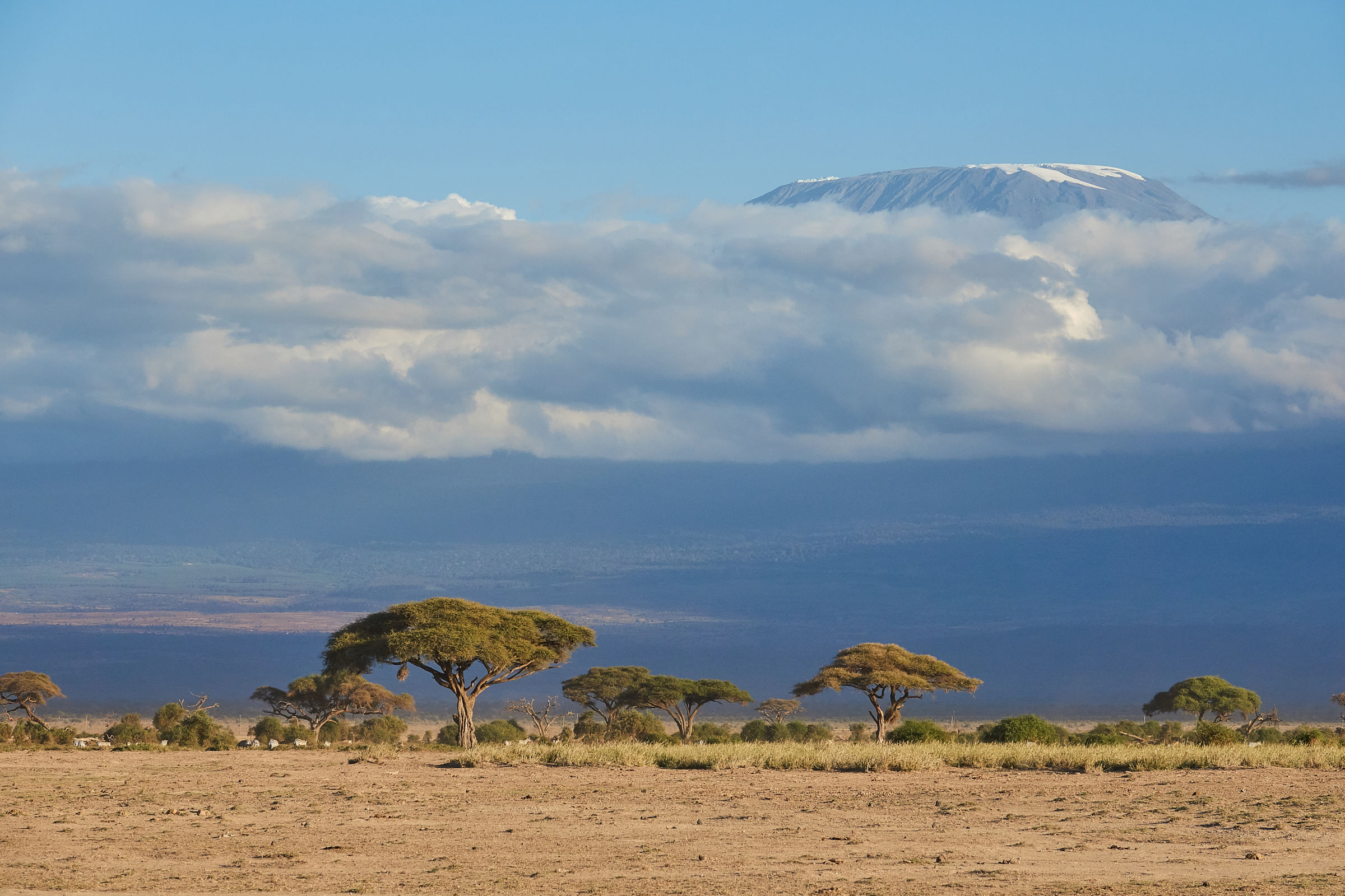 Kilimanjaro mount (Amboseli - Kenya)
