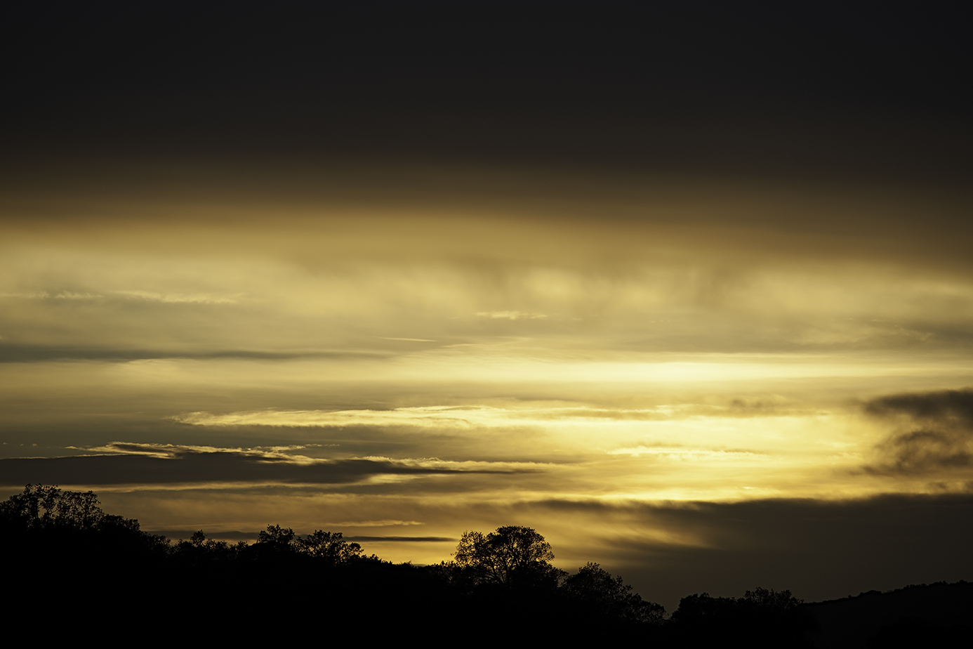 From the window of the house