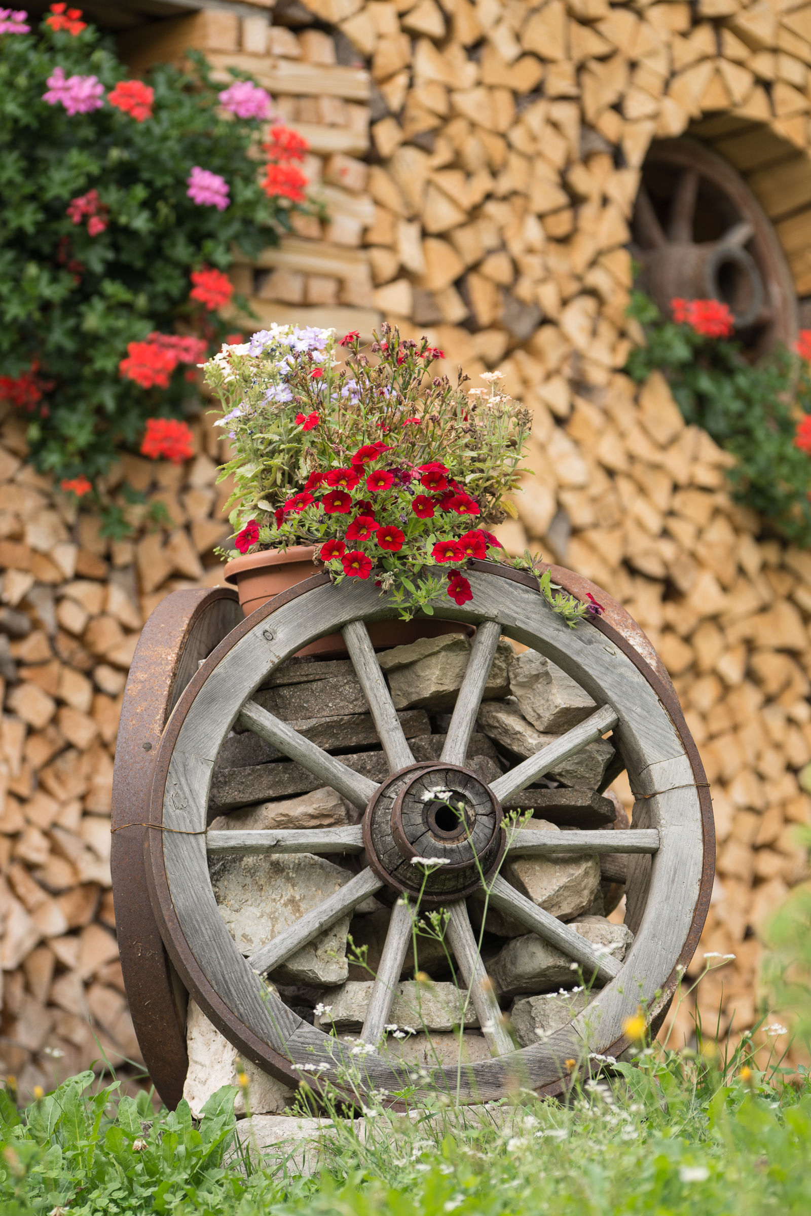Wheels and flowers