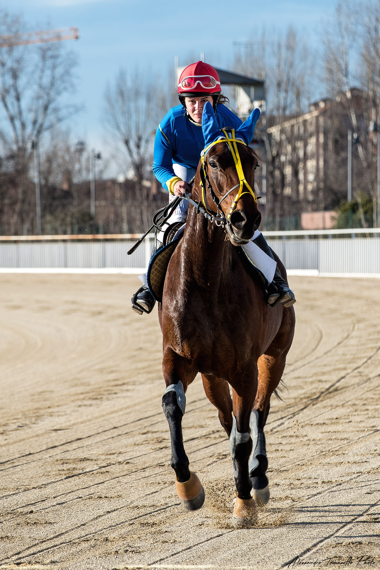 Ippodromo La Maura, San Siro - © 2018
