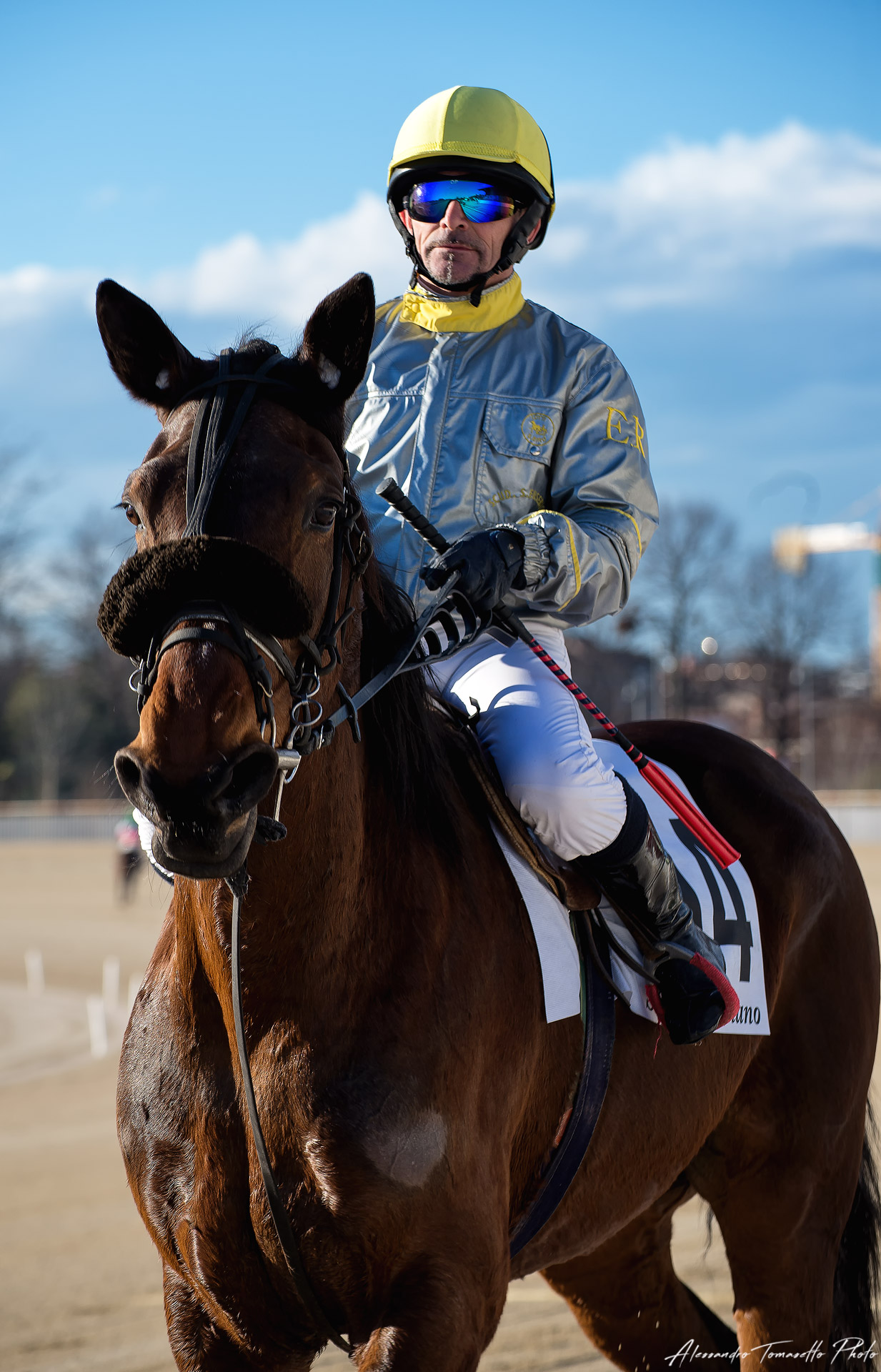 Ippodromo La Maura, San Siro - © 2018