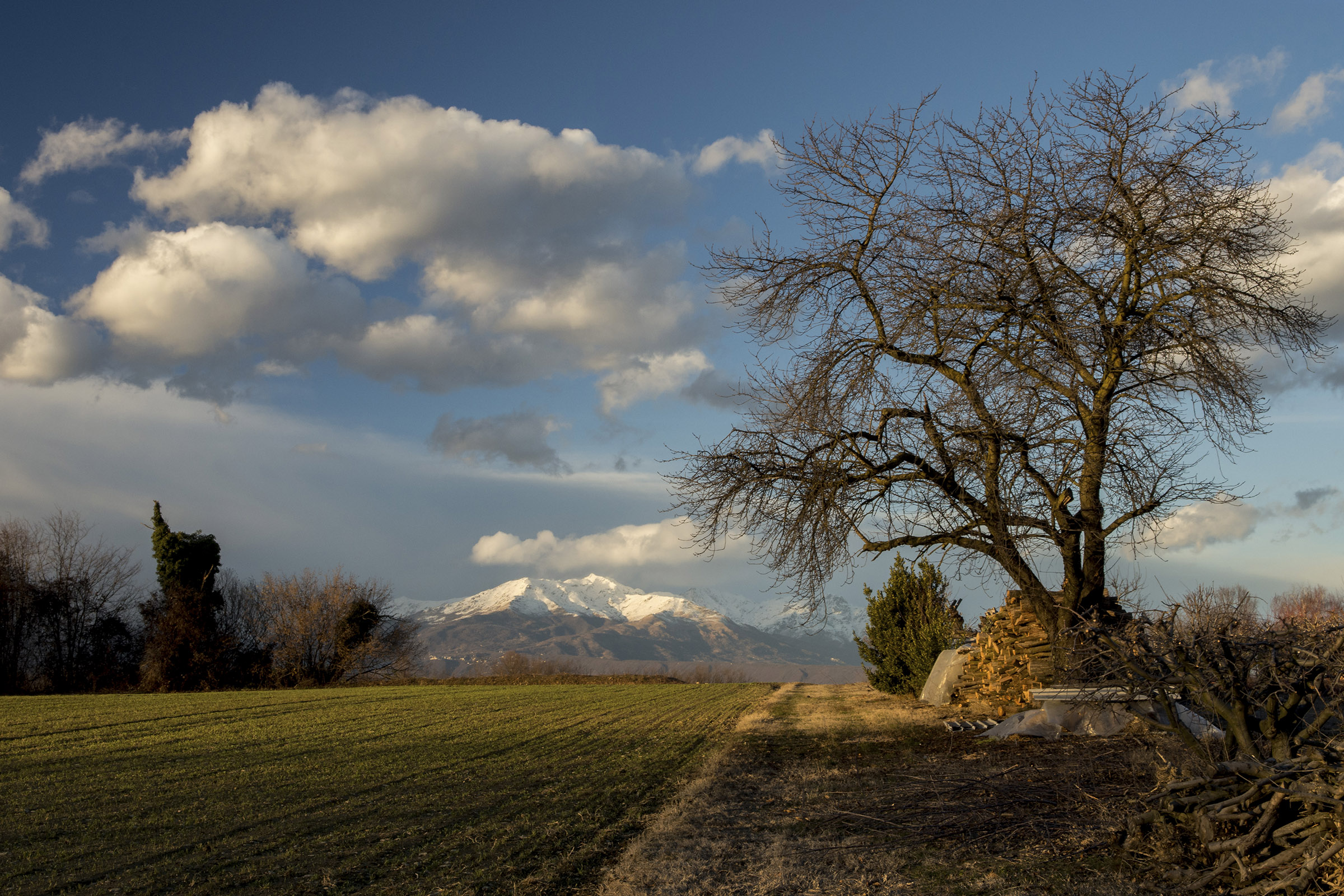 It seems to me already Spring!