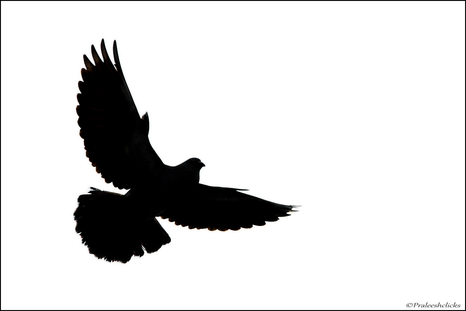 Silhouette chiave alta