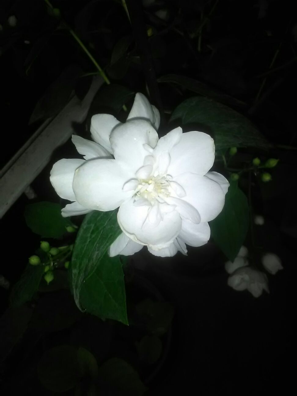 Beautiful .... at night