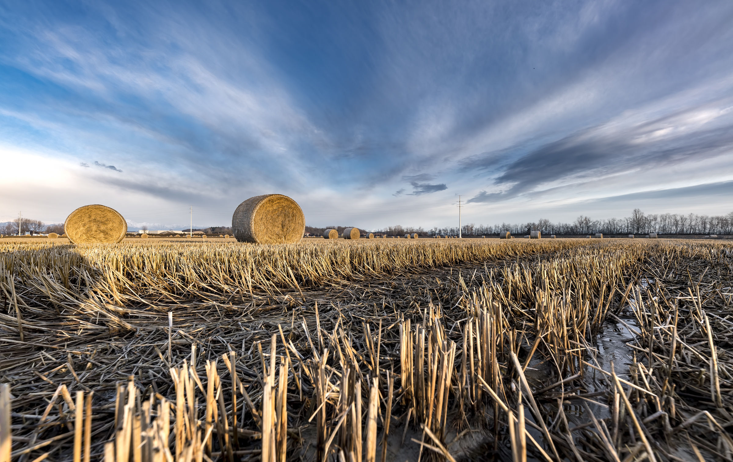 winter sunrise - Basket (No)