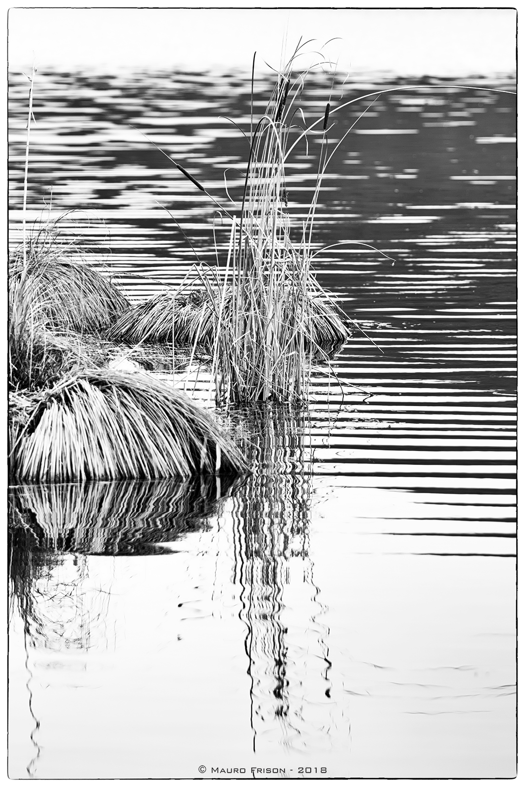 Reflections ... stagnant