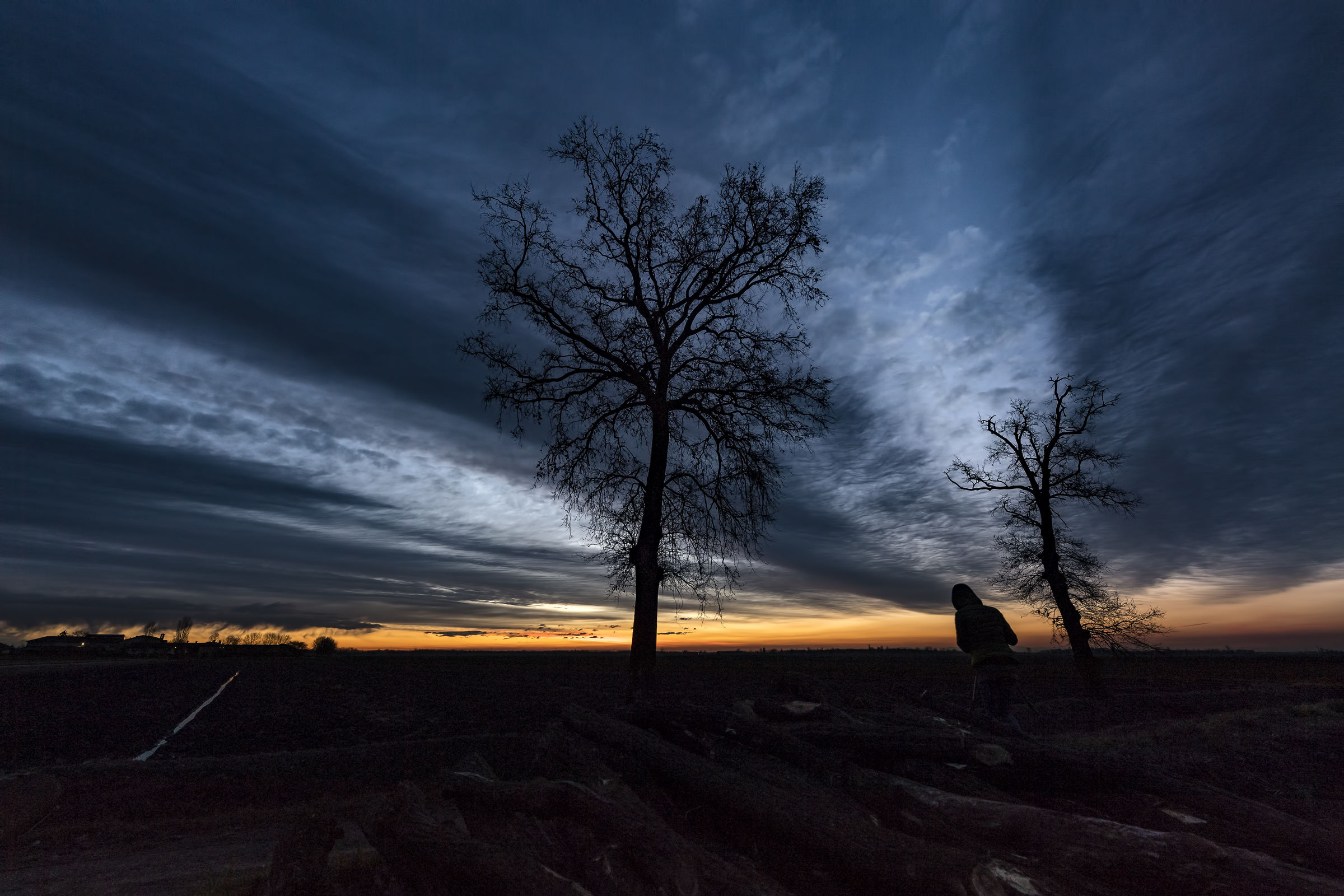 novarese rice fields