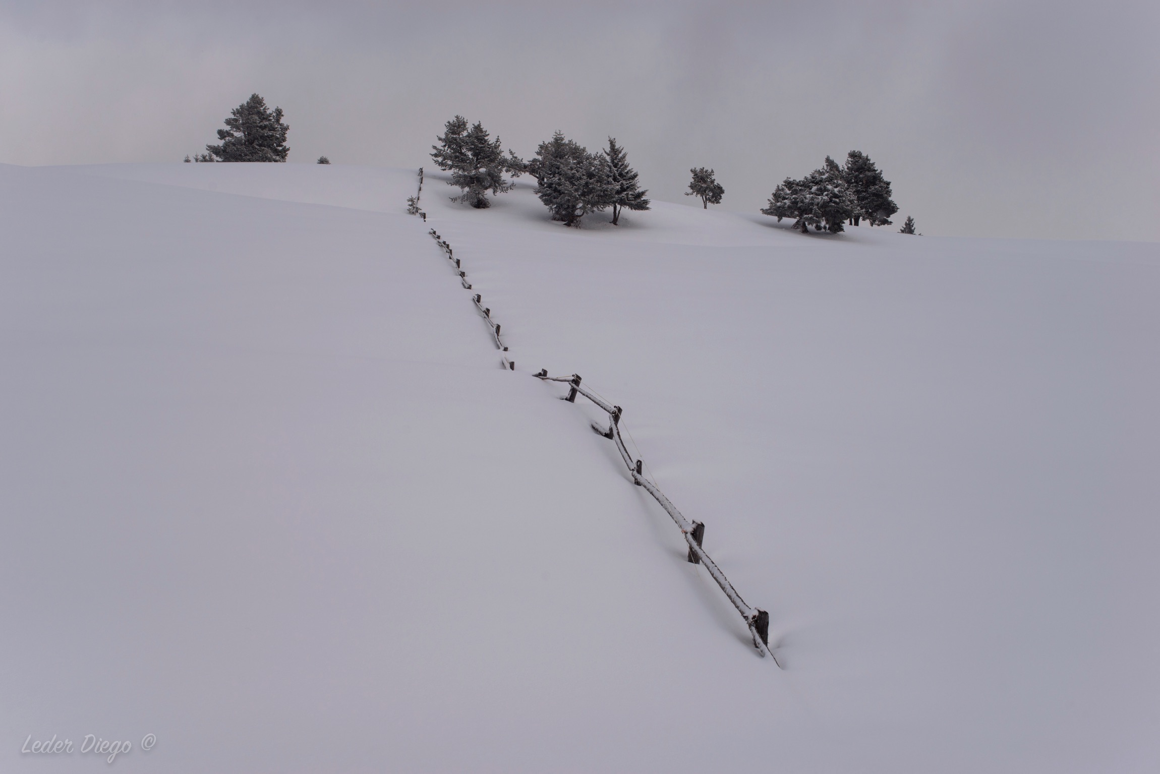 Bianco&Nero naturale