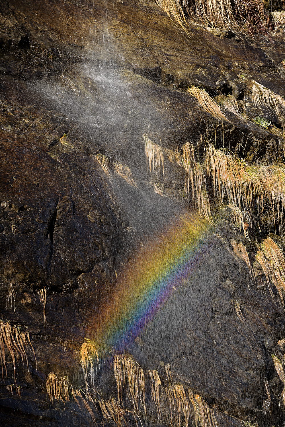 Rainbow in the spray