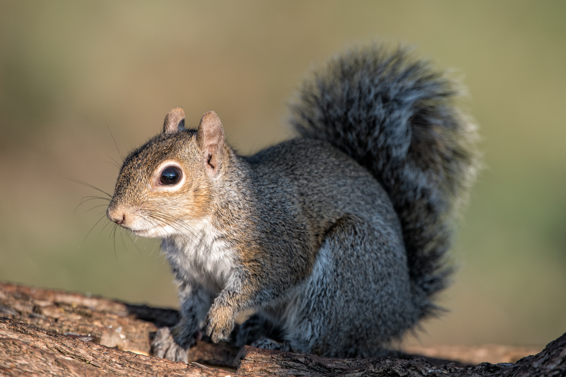 "Kissed by a ray of sunshine"