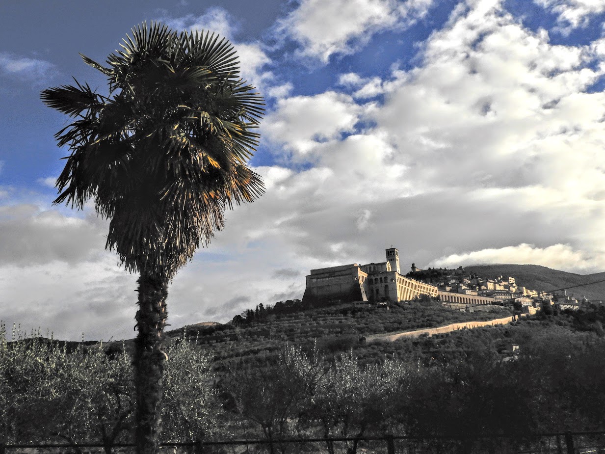 Palma e Basilica di San Francesco con anche il borgo