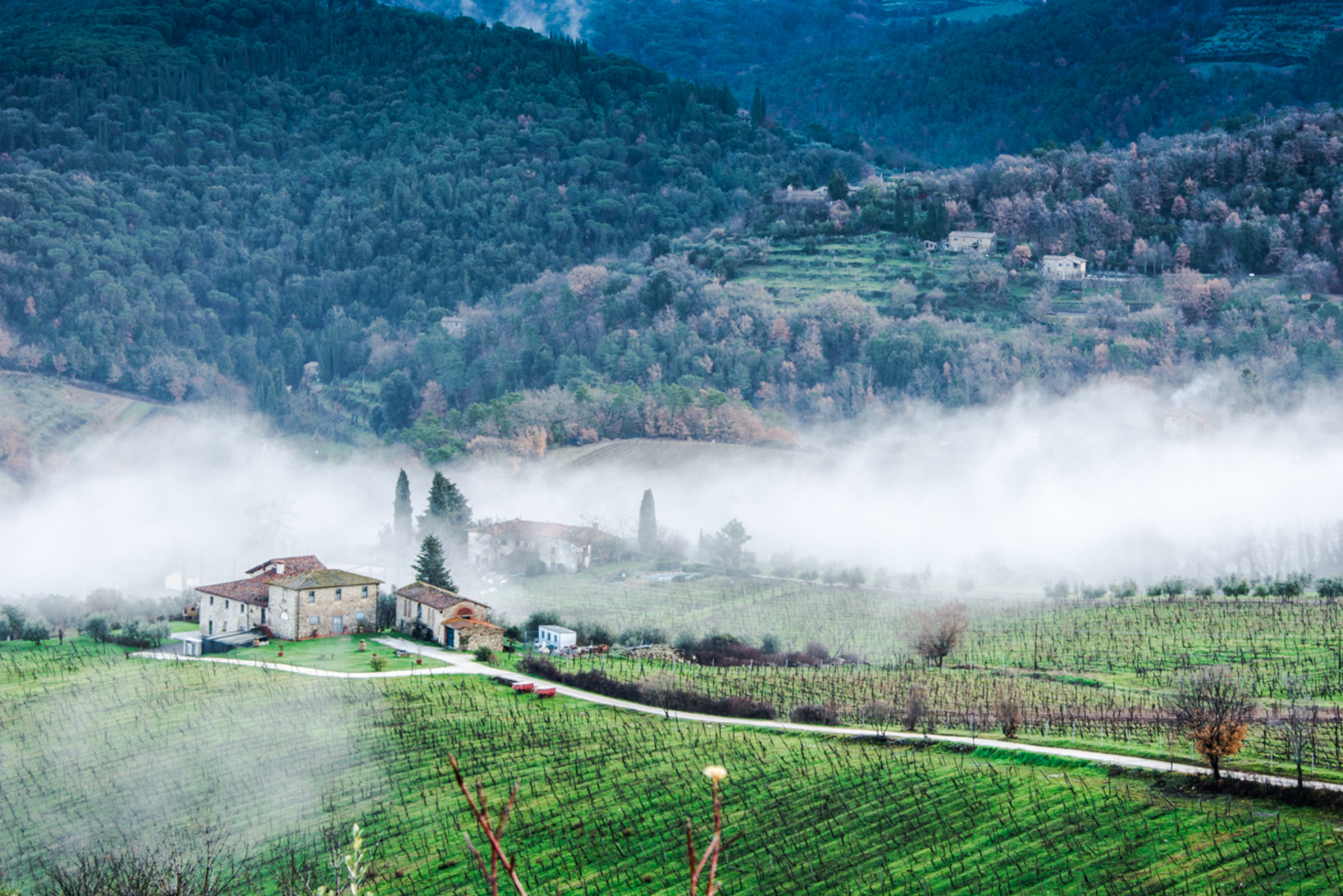 Nebbia in fondovalle