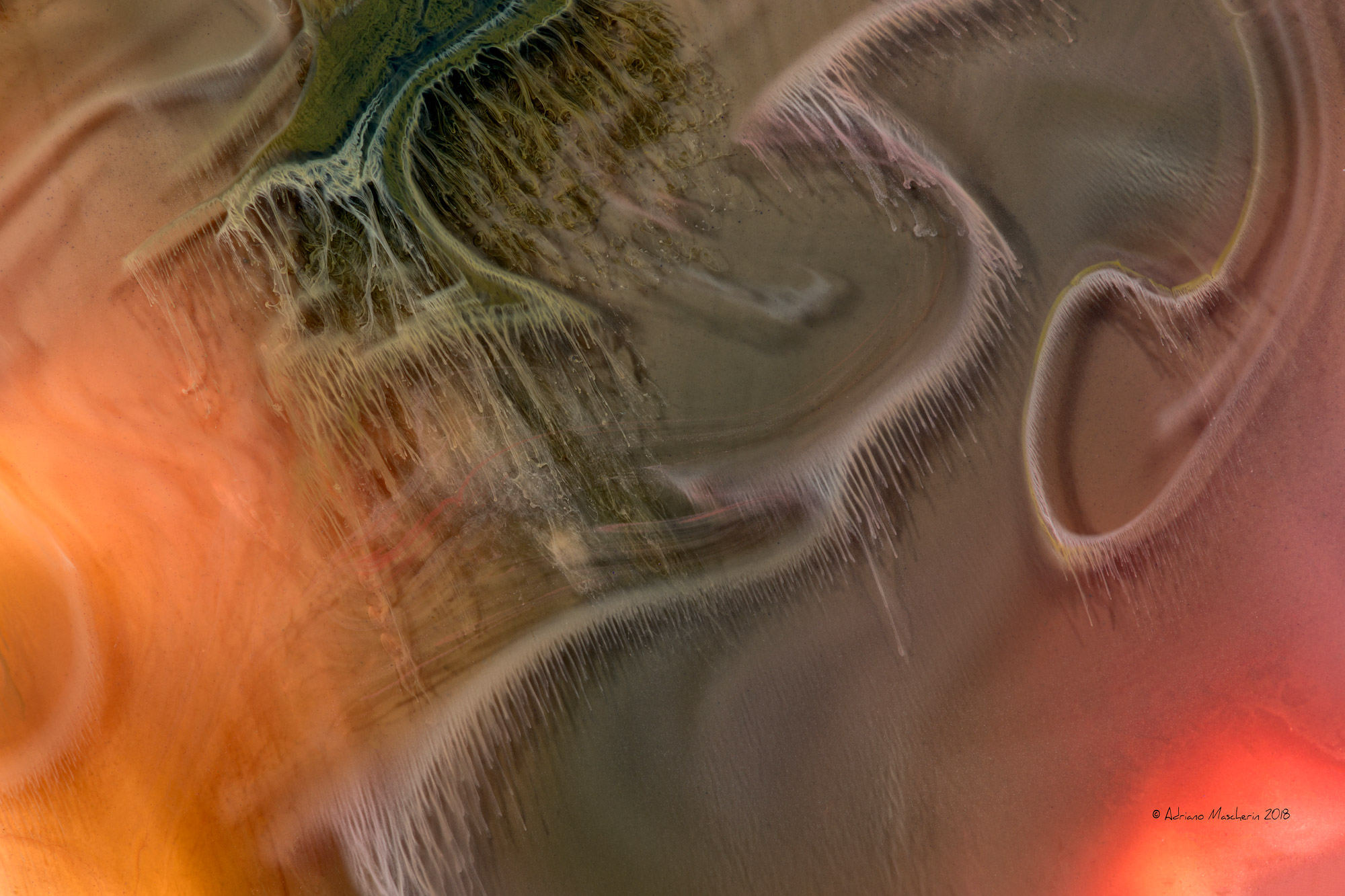 Il vento della speranza