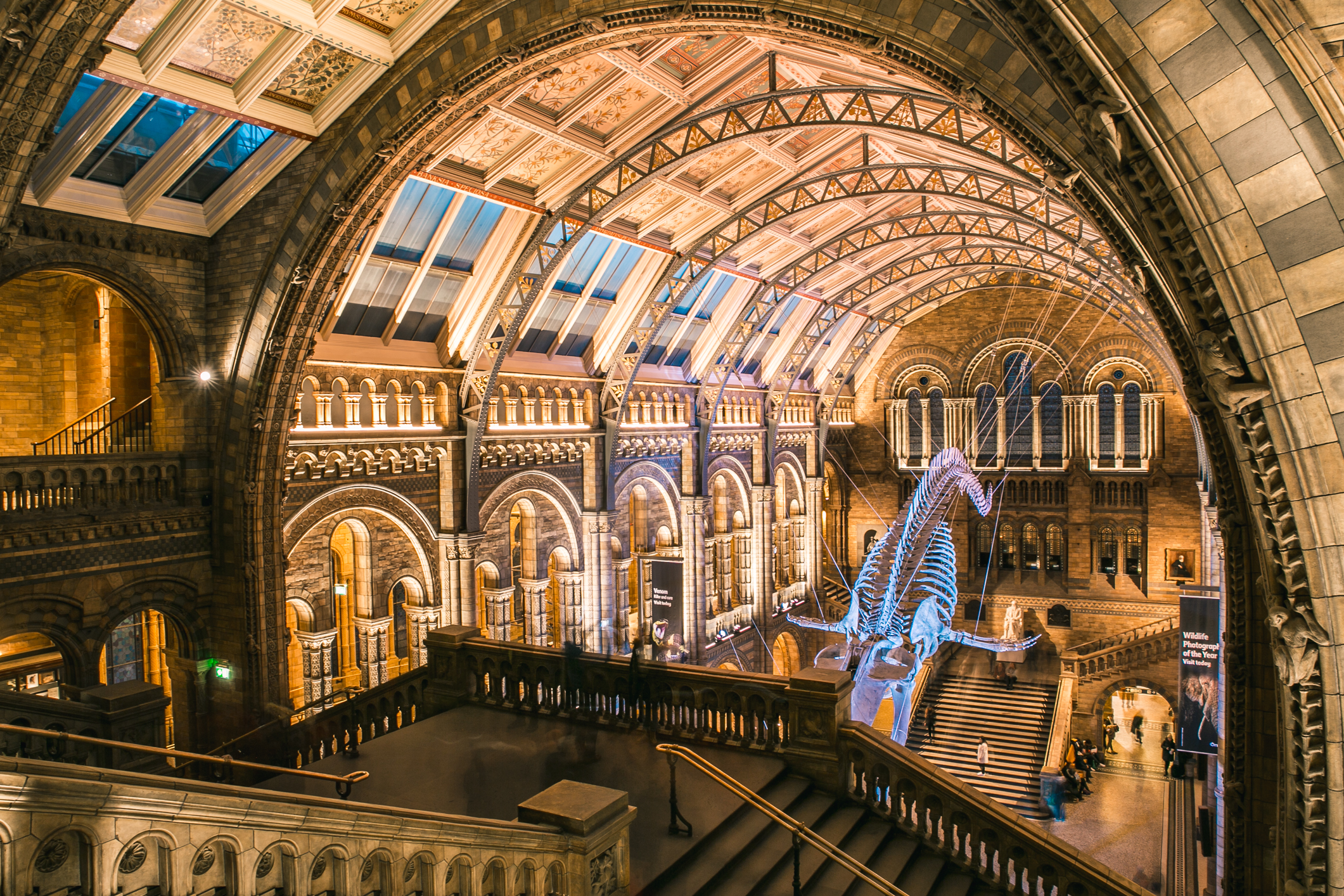 Natural History Museum