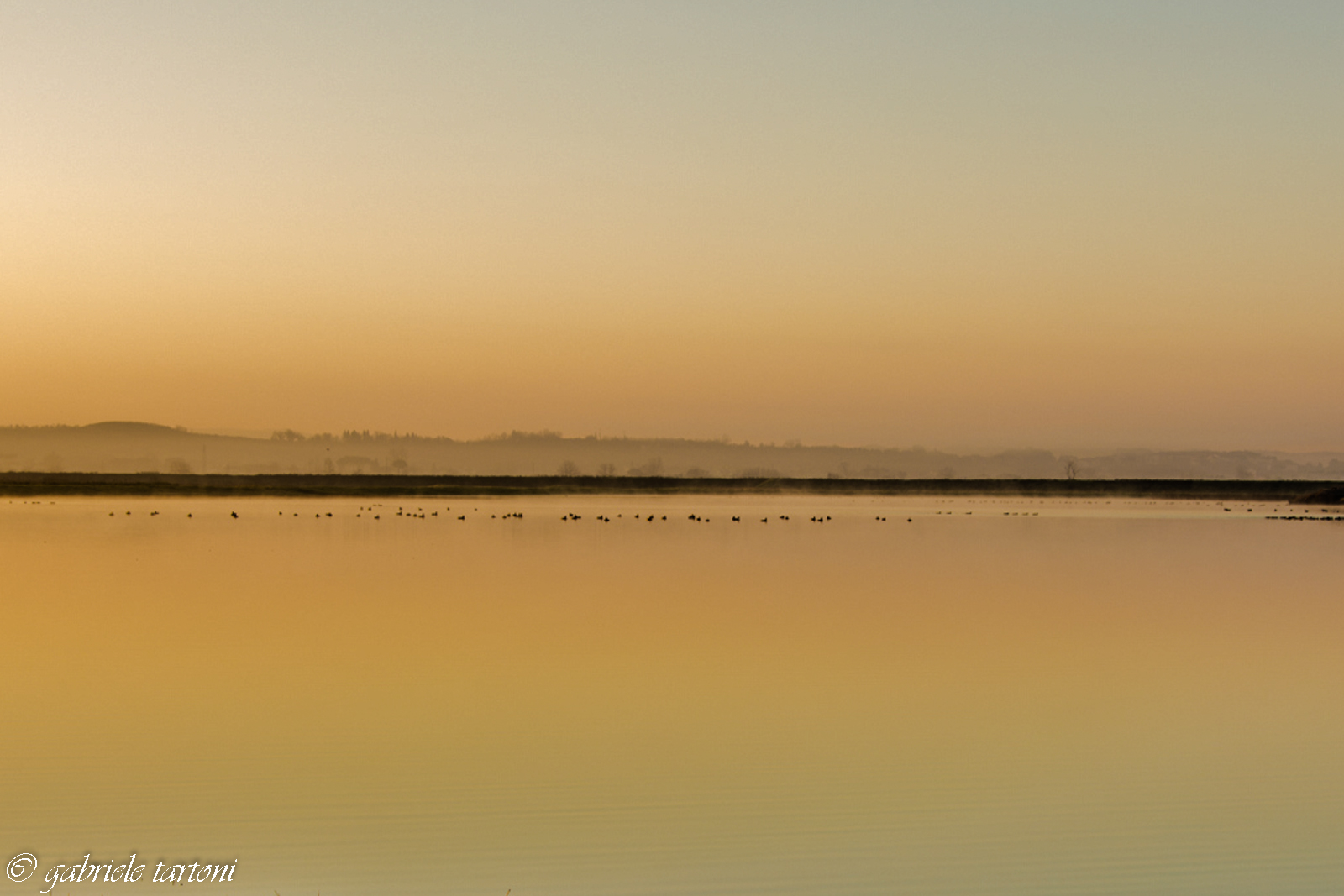 Linea di demarcazione