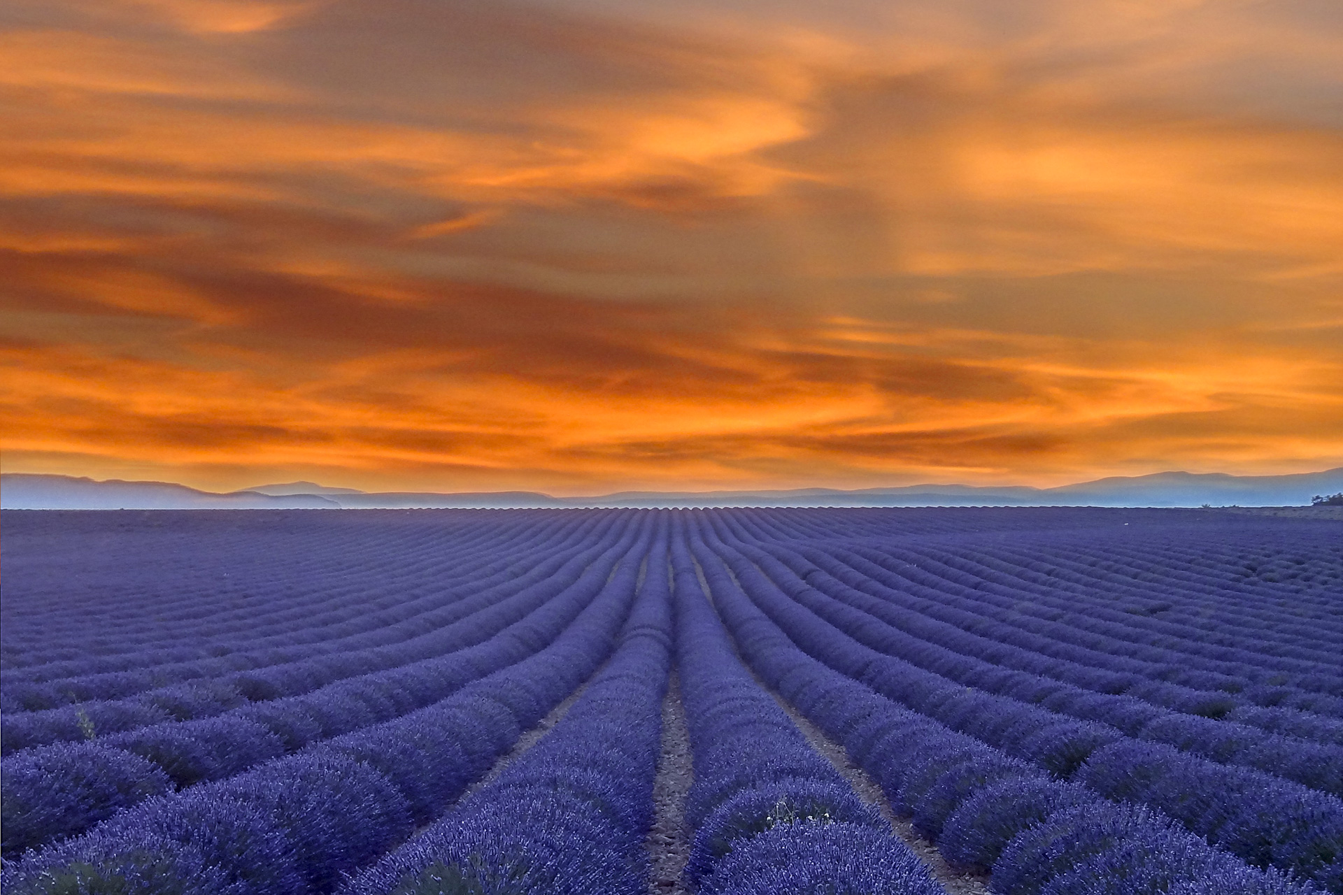 provence