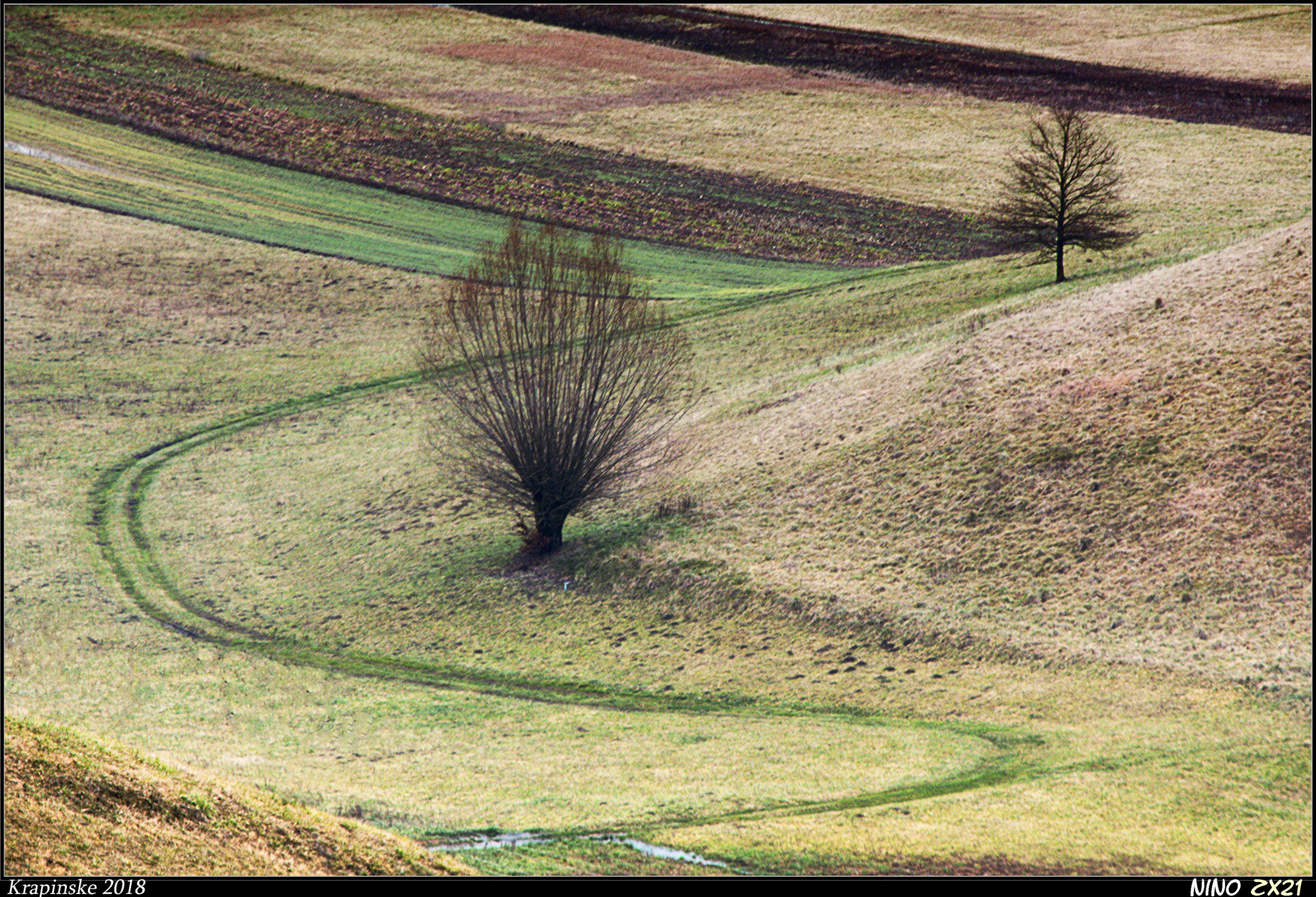 Disegni naturali (e non)