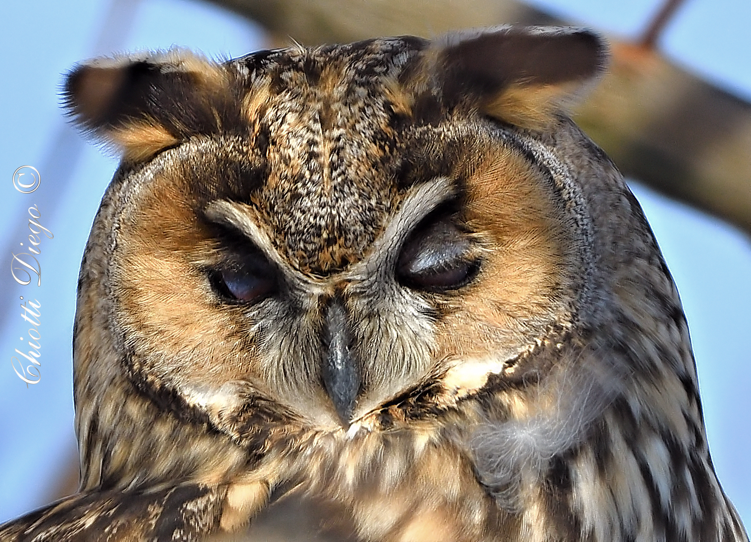 Josè... me cala la palpebra..