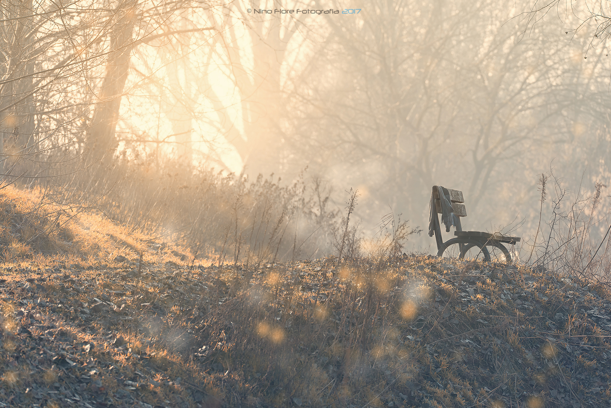 The sunrise at the park.