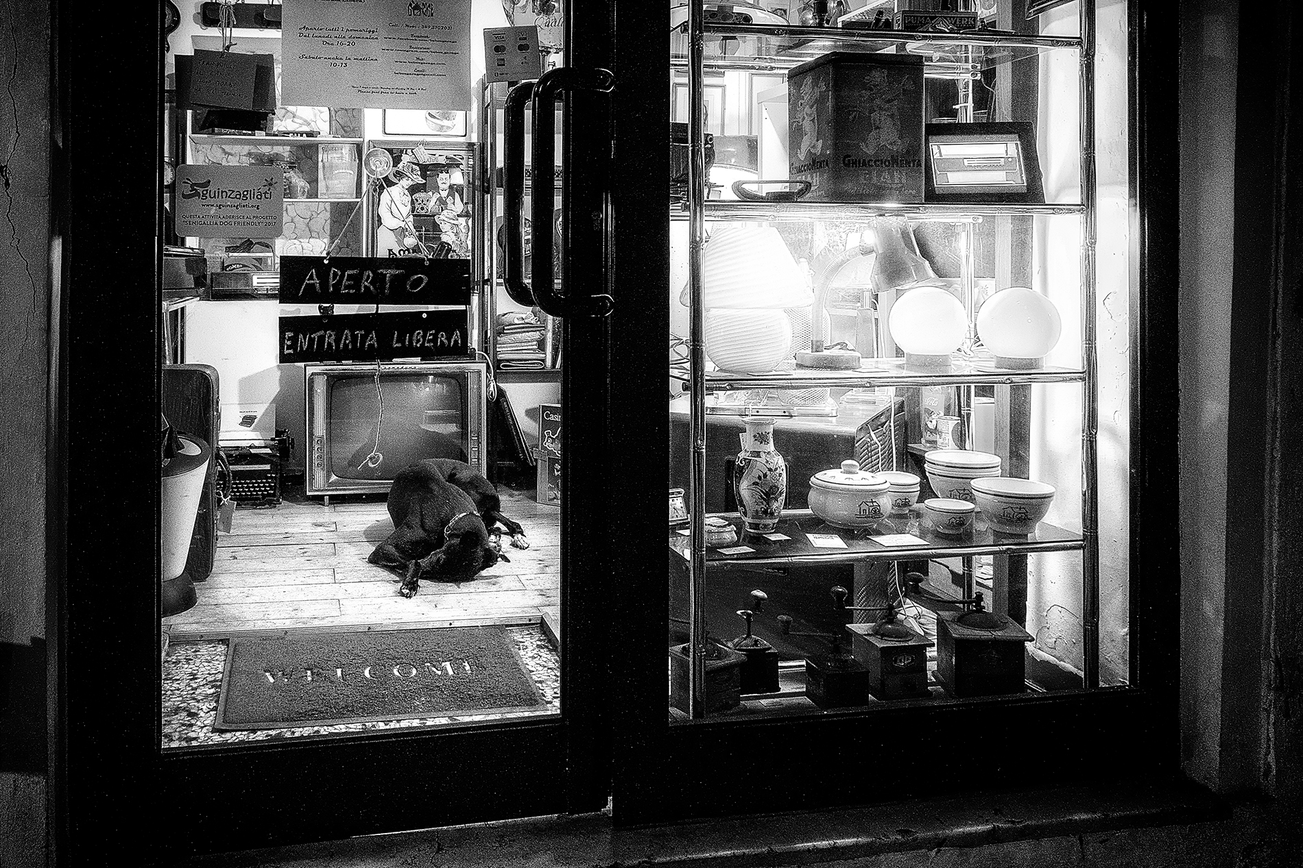 Welcome but not too much