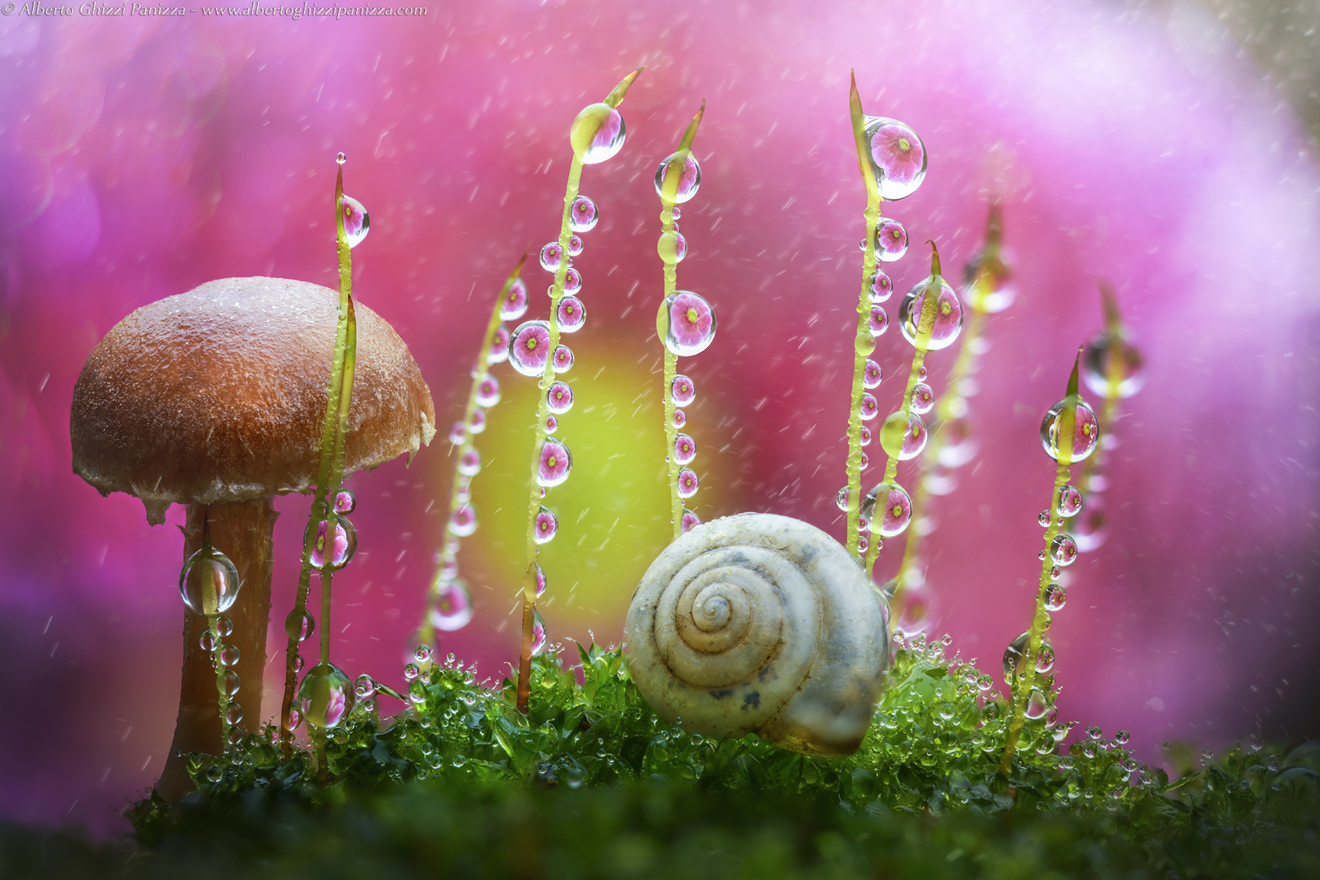 Spring drops in the winter