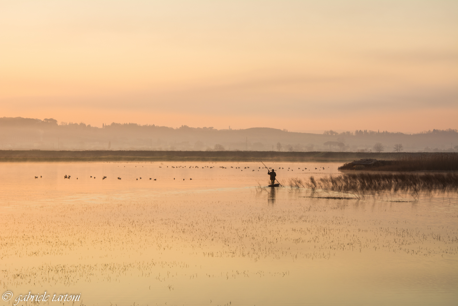 Hunting in the water