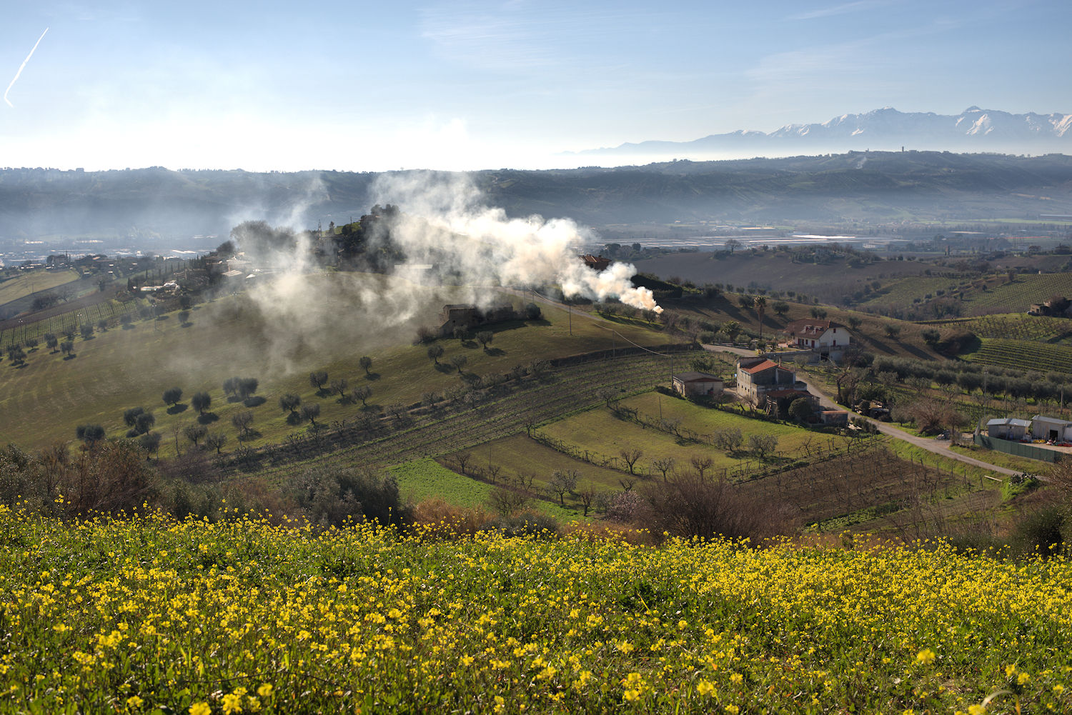 Hills of Monteprandone