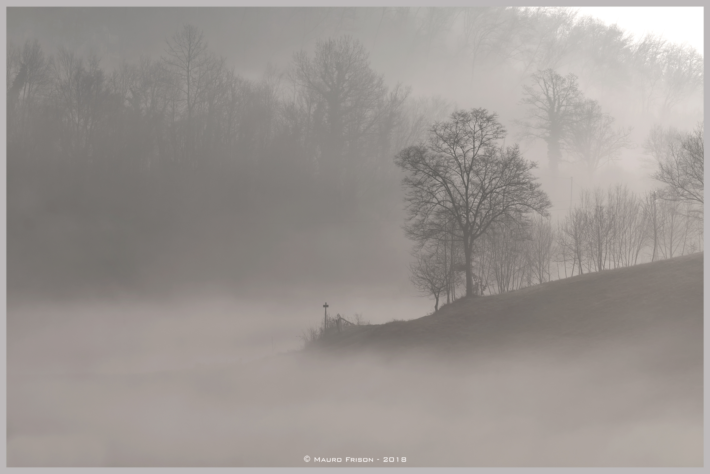 By the river ... fog