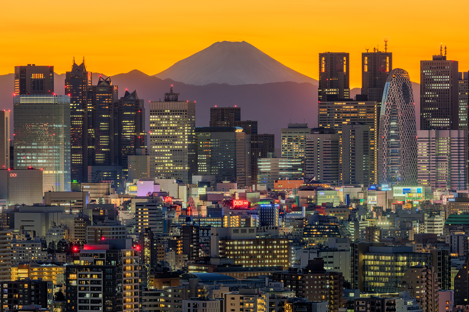 Mt. Fuji emerges between Shinjuku skyscrapers in Tokyo,