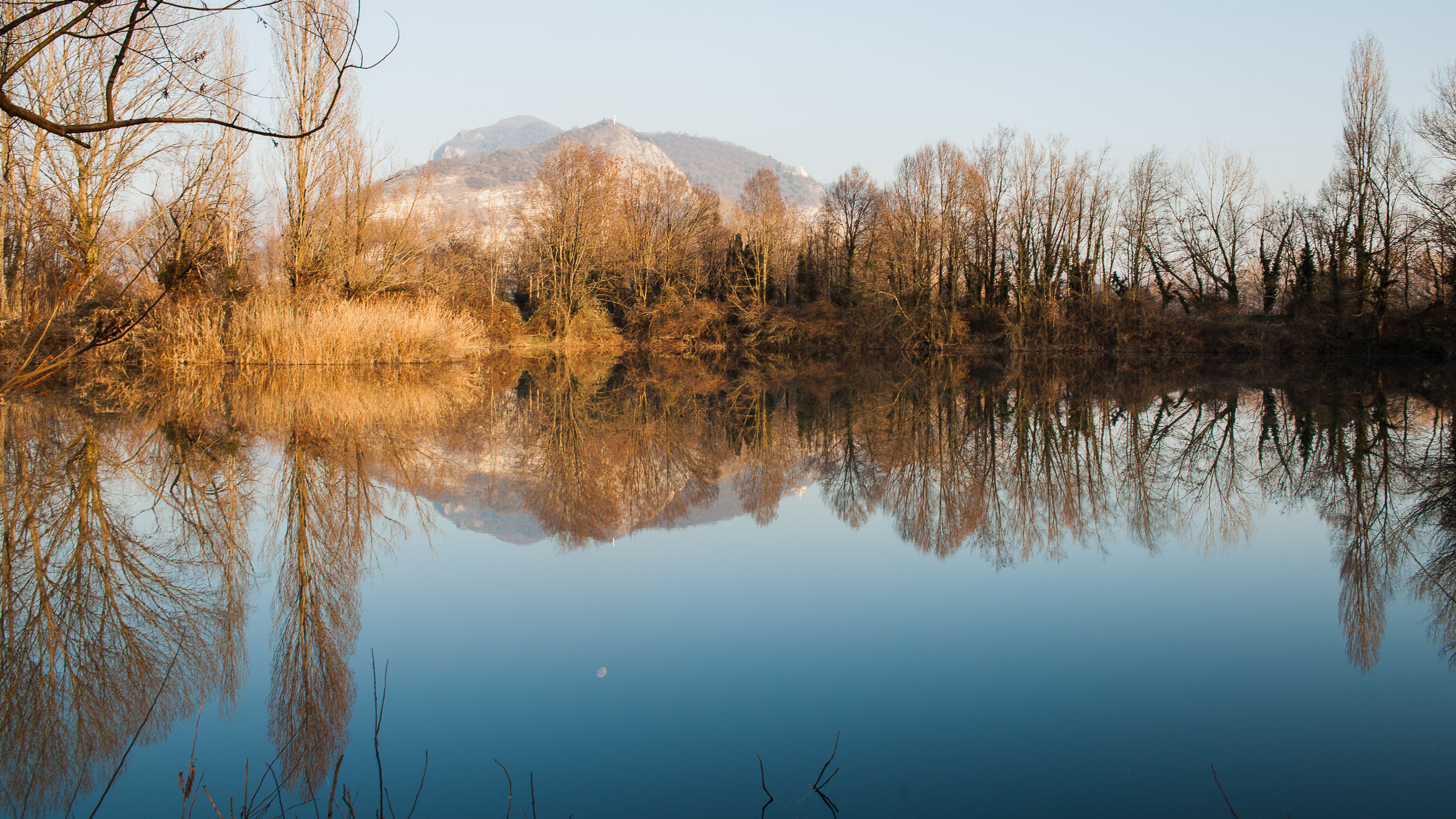 Riflessi 1