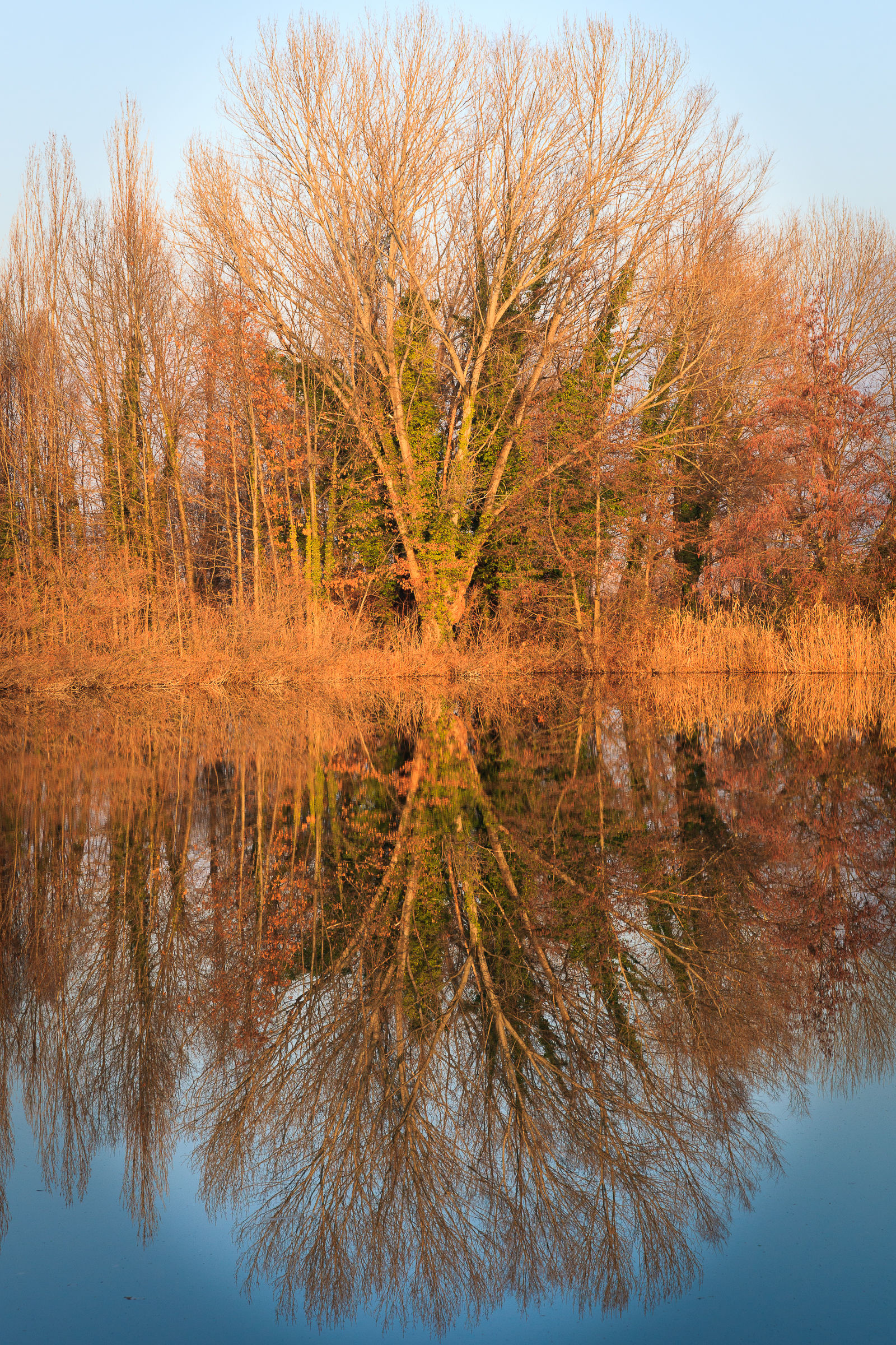 Riflessi 2