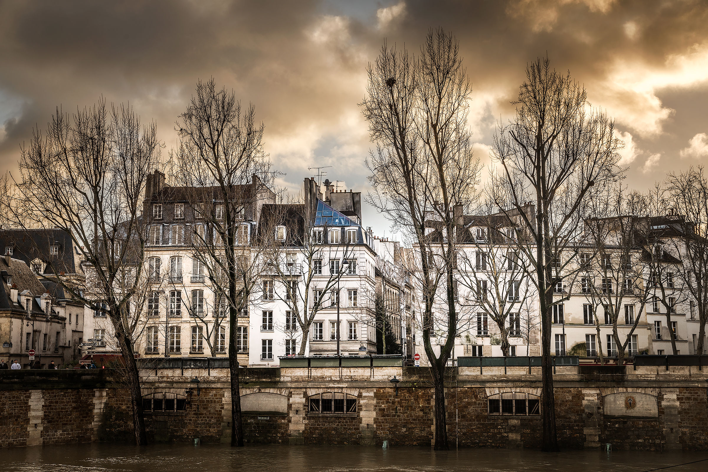 Beauties along the Seine