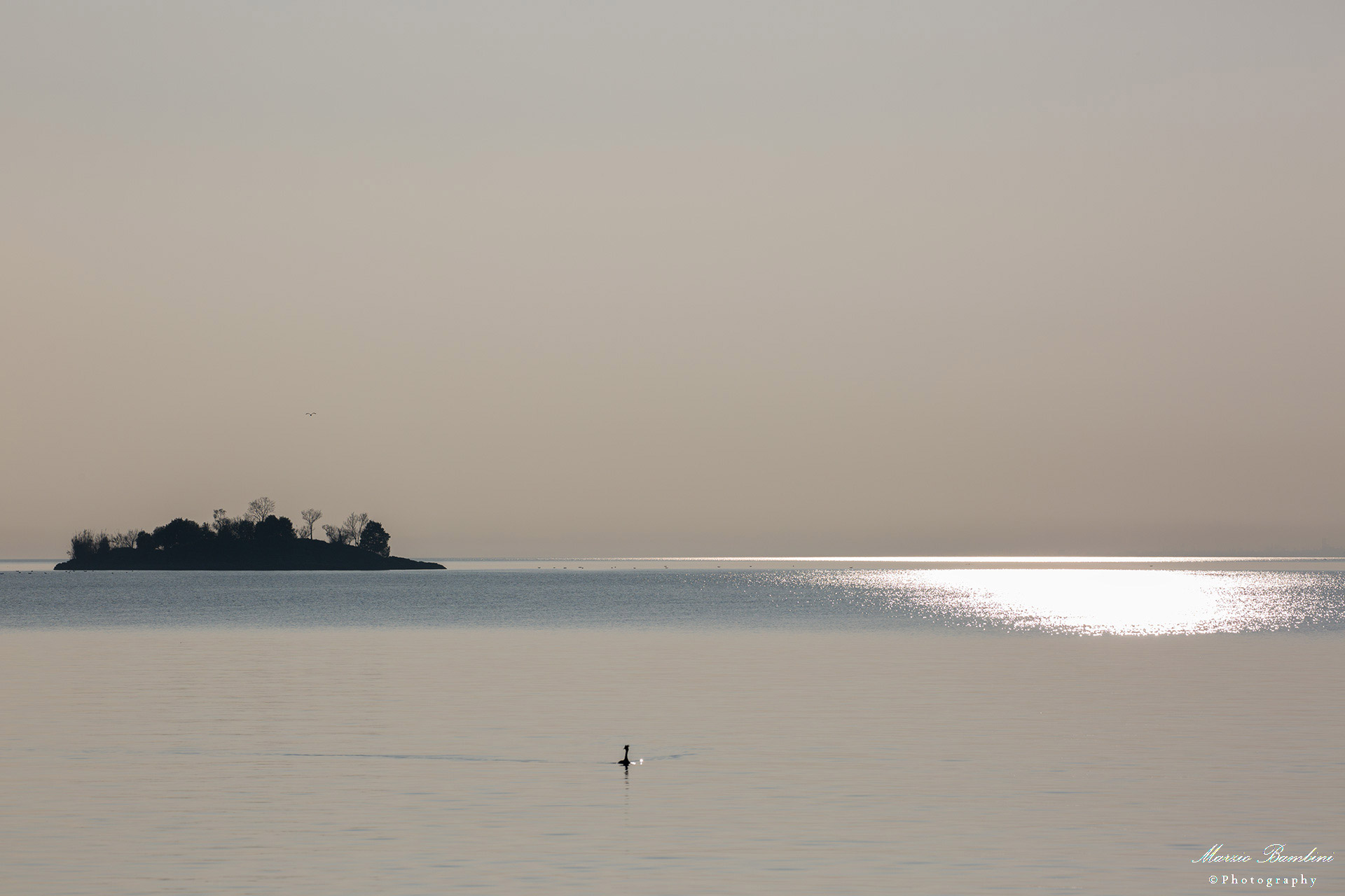 Malcesine (vr), Isola dell'Olivo