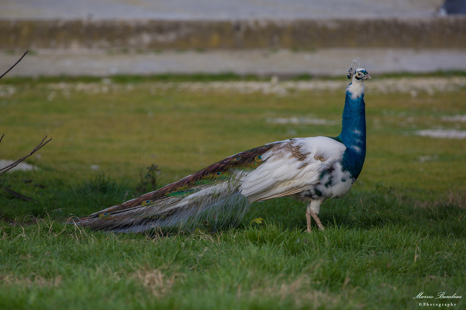 Too bad ... nothing rotates