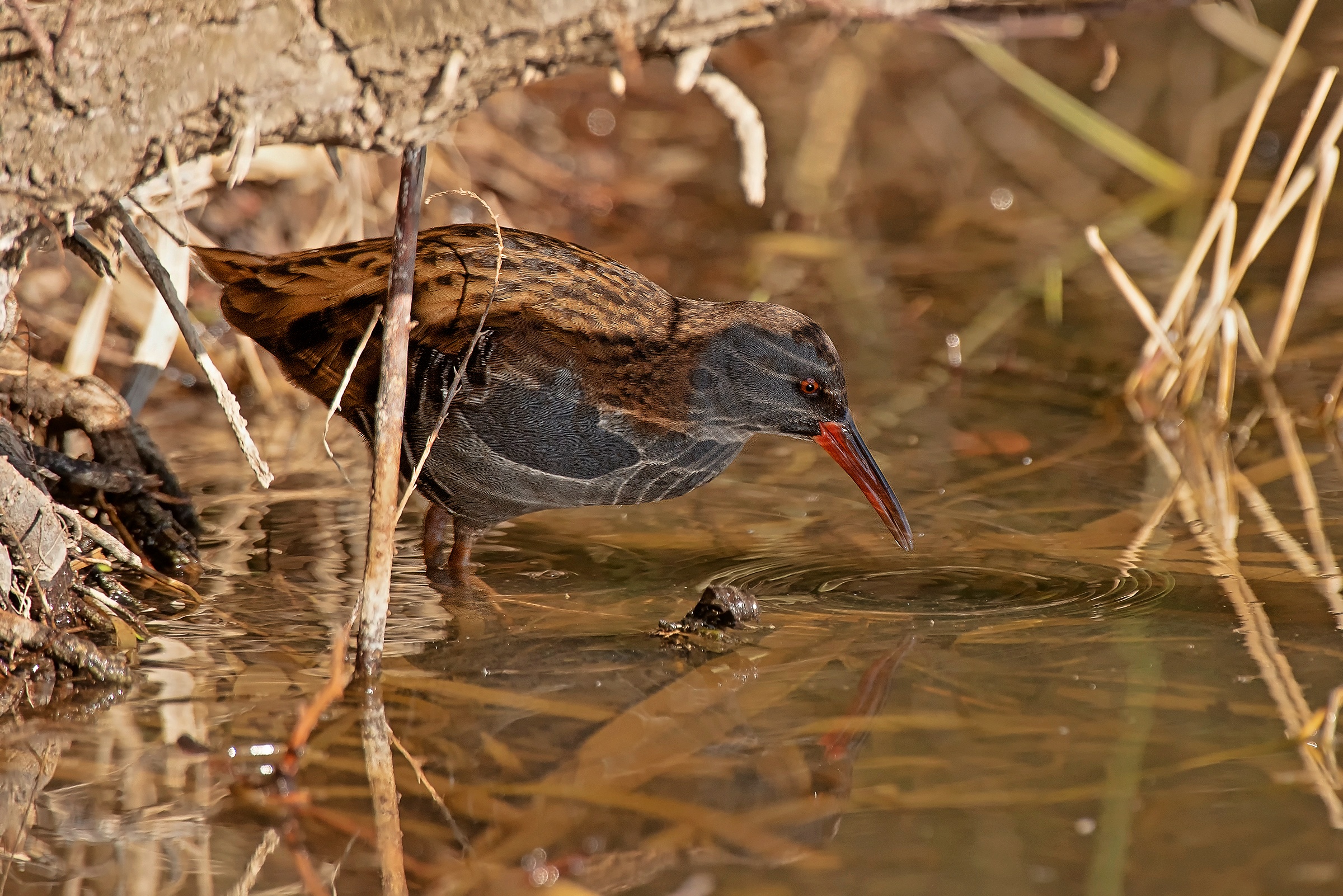 Gioco di riflessi sull'ombra
