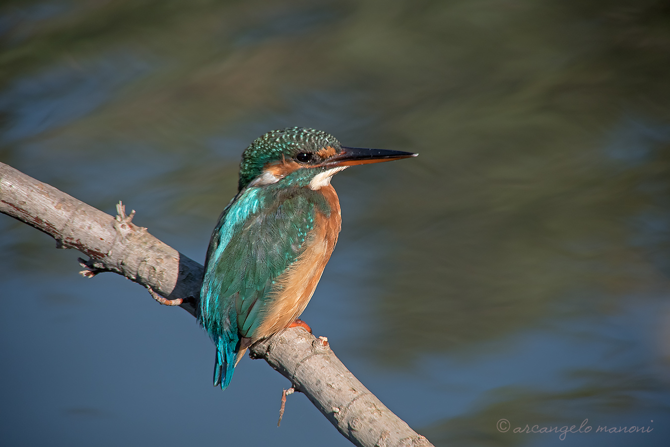 A thoughtful martina